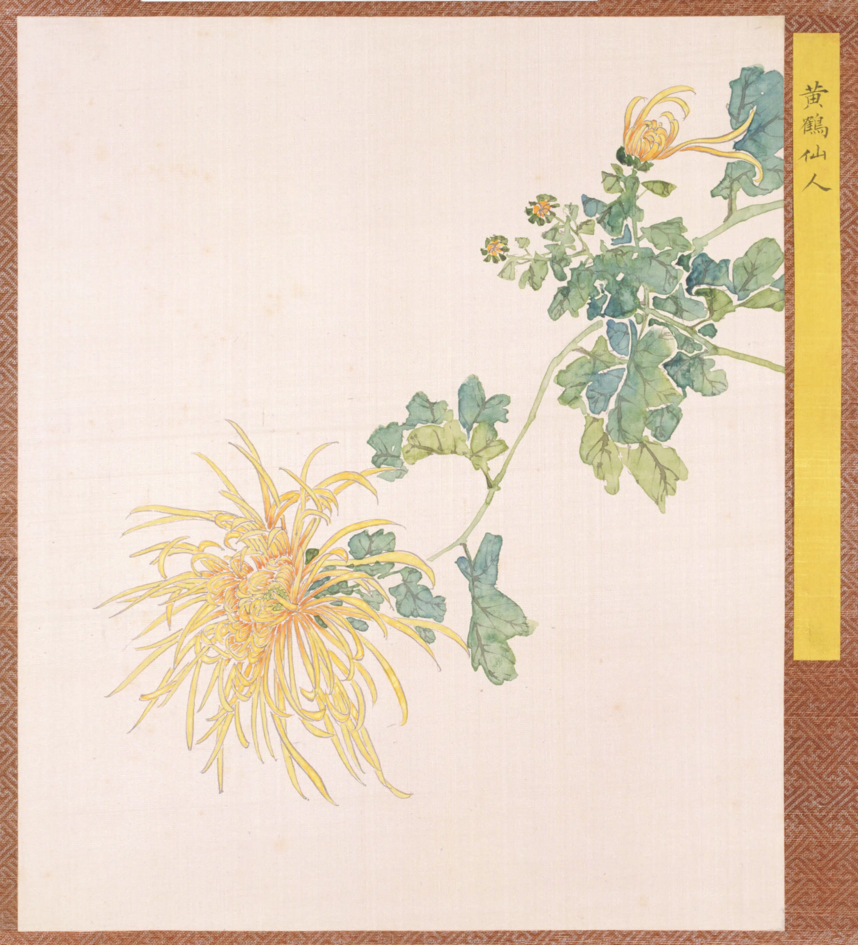 清代【清人】《菊谱册-12》 第1张 清代【清人】《菊谱册-12》 第1张