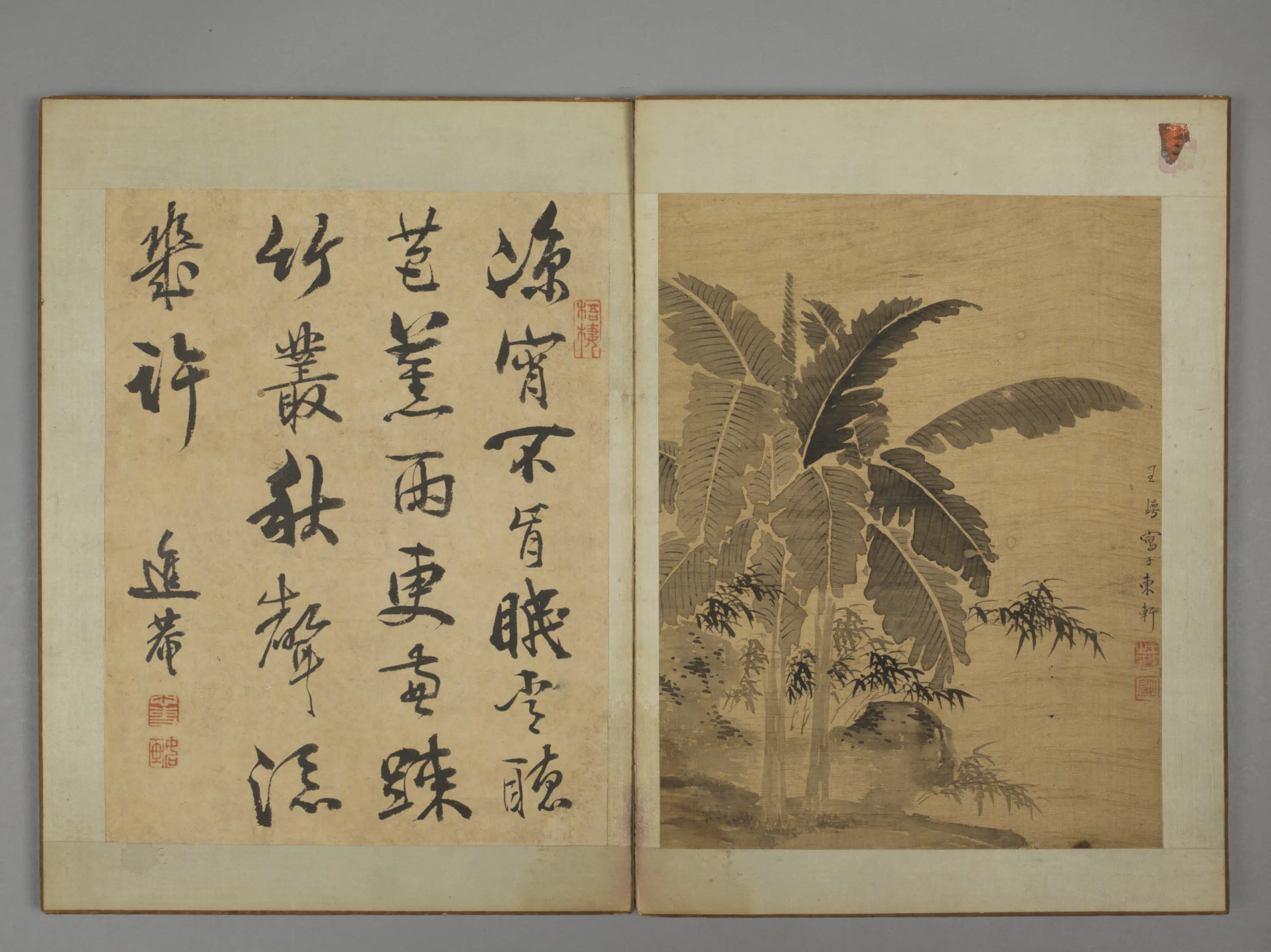 清代【王崿】《竹石册》 第4张