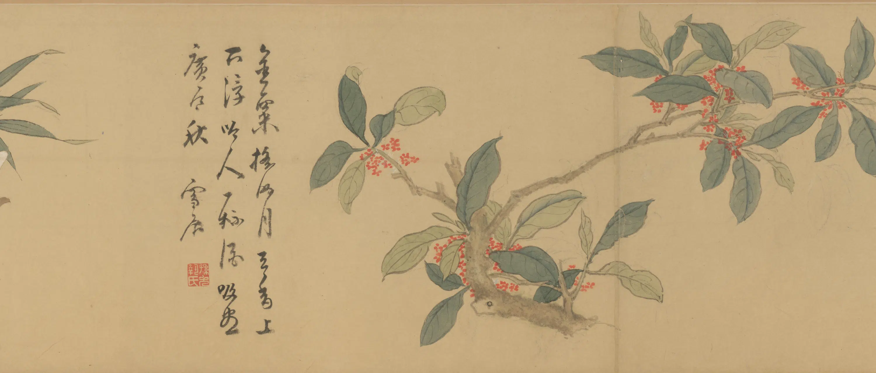 明朝【孙克弘】《百花图卷》 第15张
