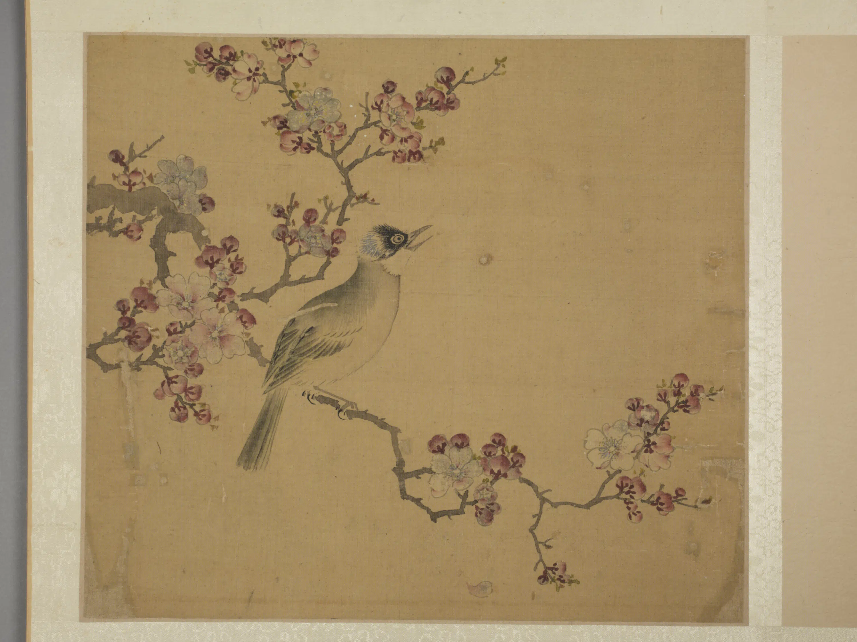 明朝【王子元】《花鸟图册》 第4张