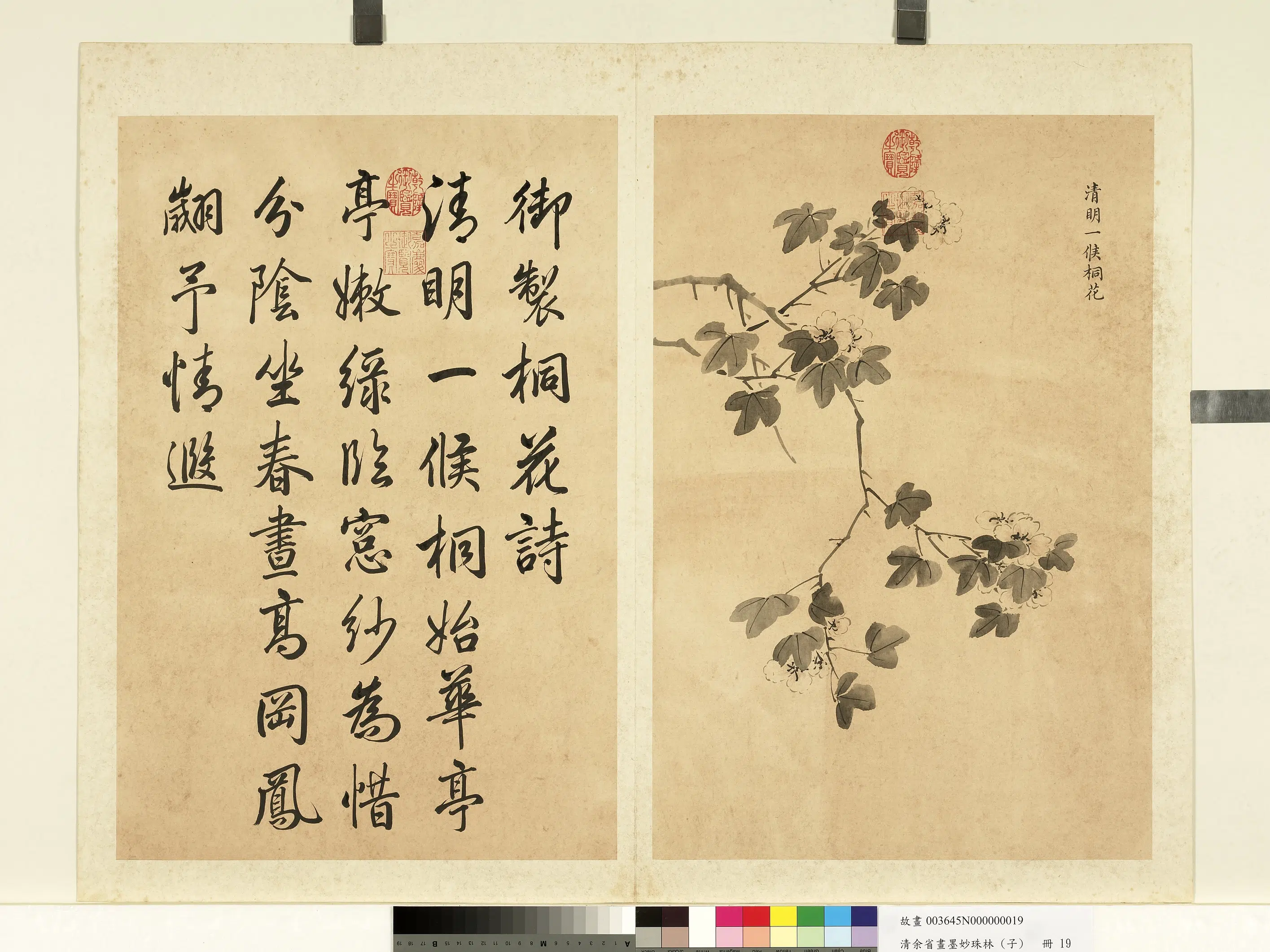 清代【余省】《画墨妙珠林（子）册》 第13张