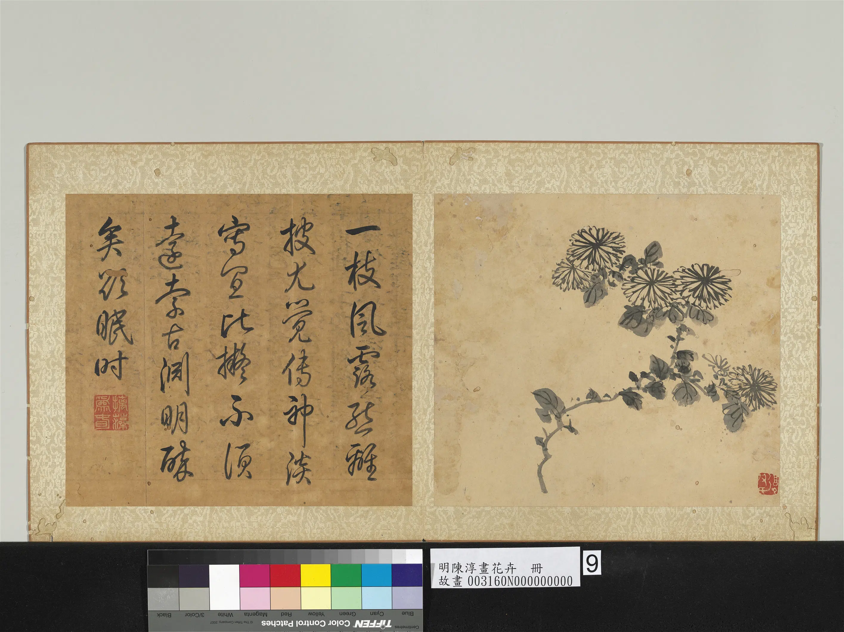 明朝【陈淳（道复）】《画花卉册》 第11张