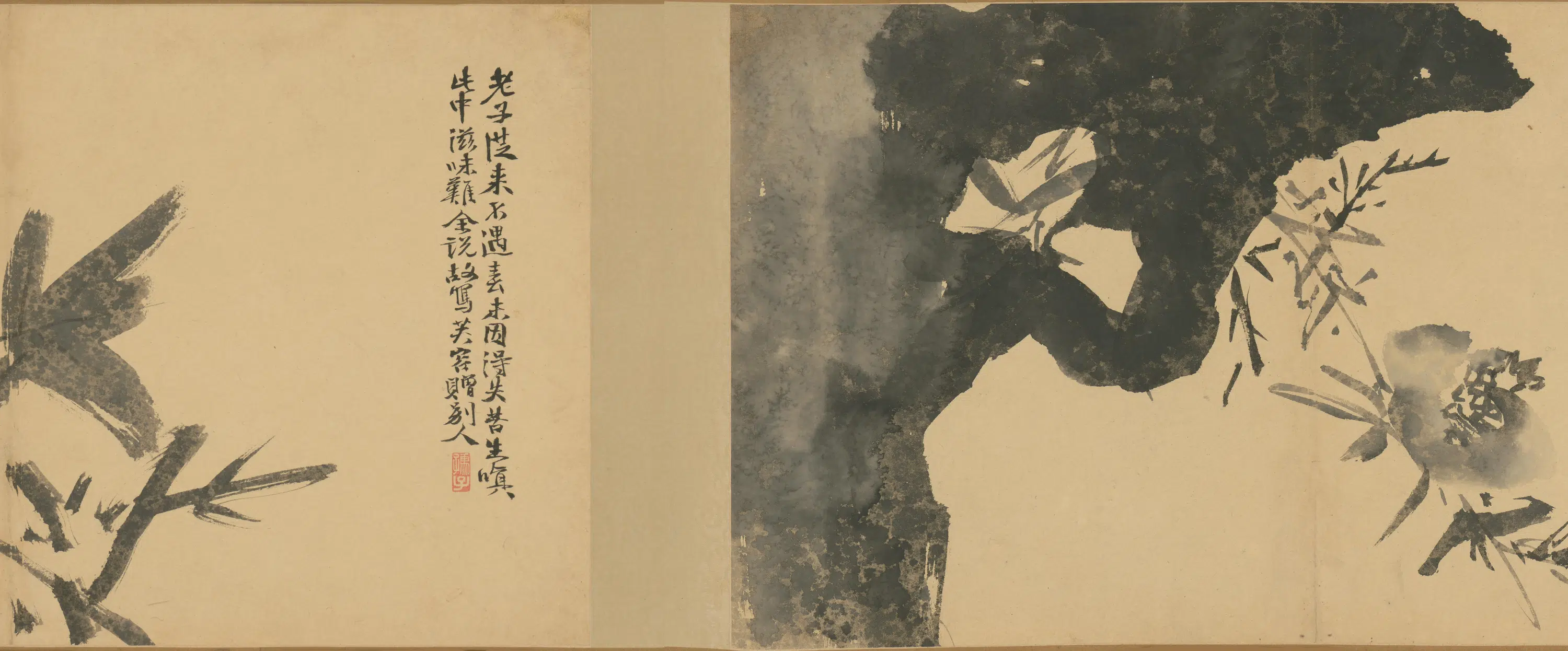 明朝【徐渭】《墨花卷》 第21张