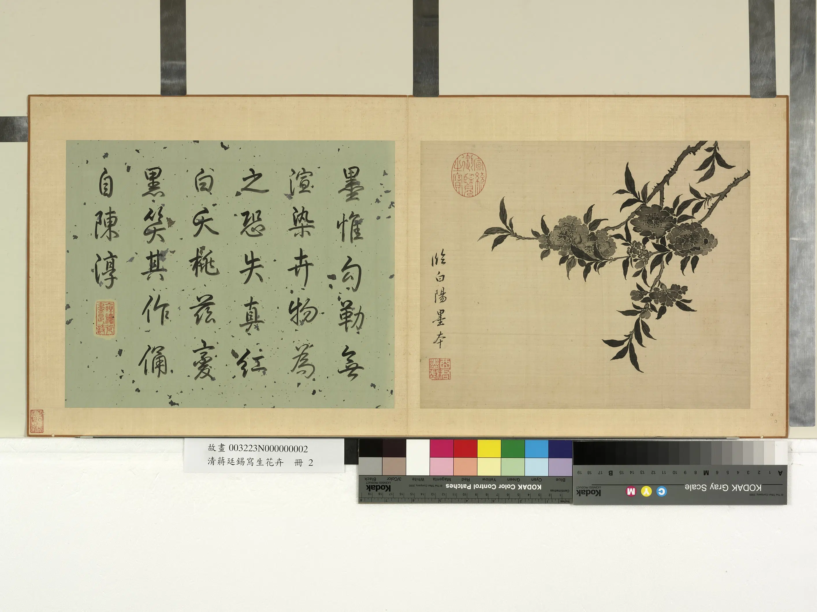 清代【蒋廷锡】《写生花卉册》 第4张