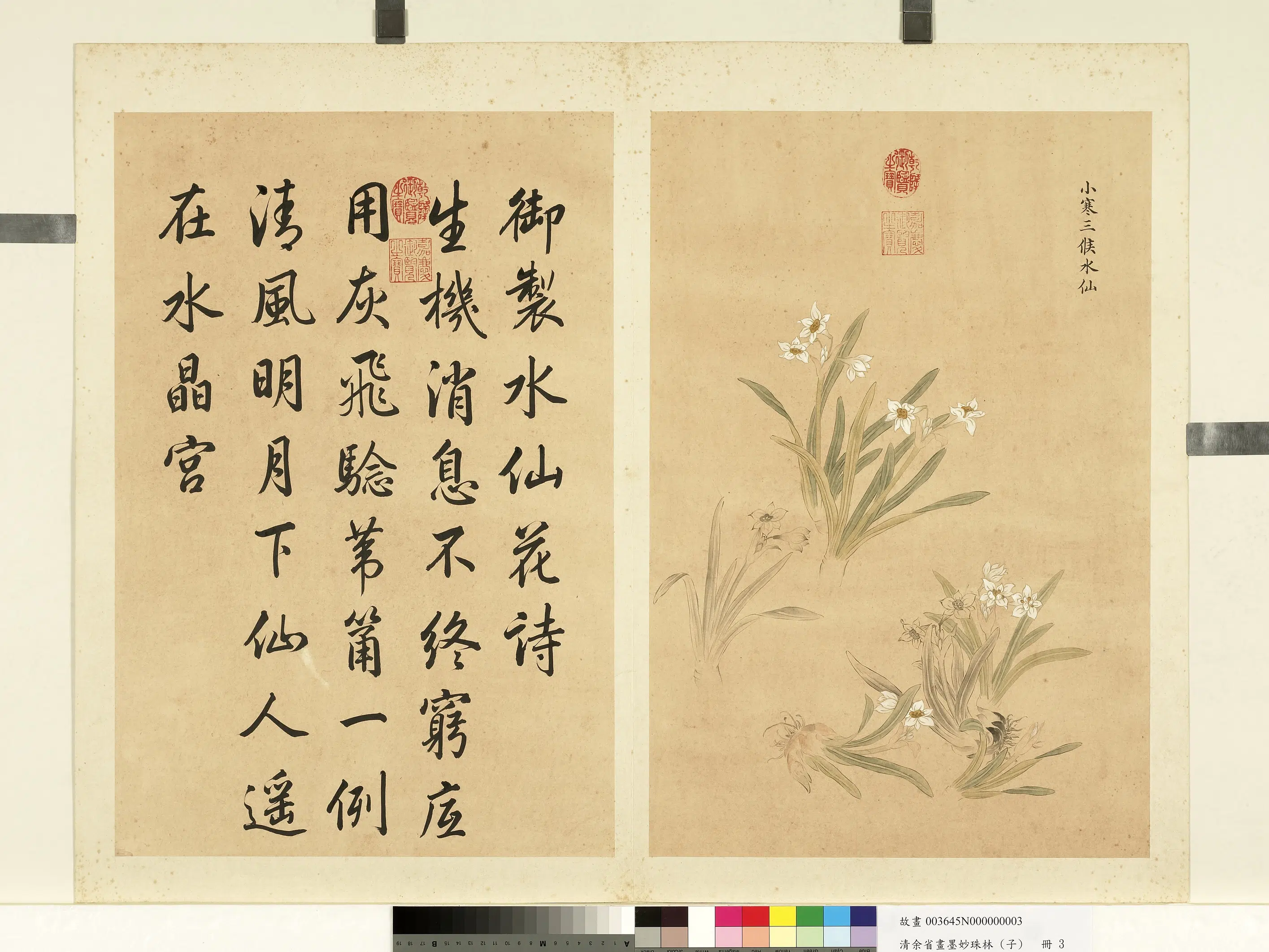 清代【余省】《画墨妙珠林（子）册-小寒三候水仙》