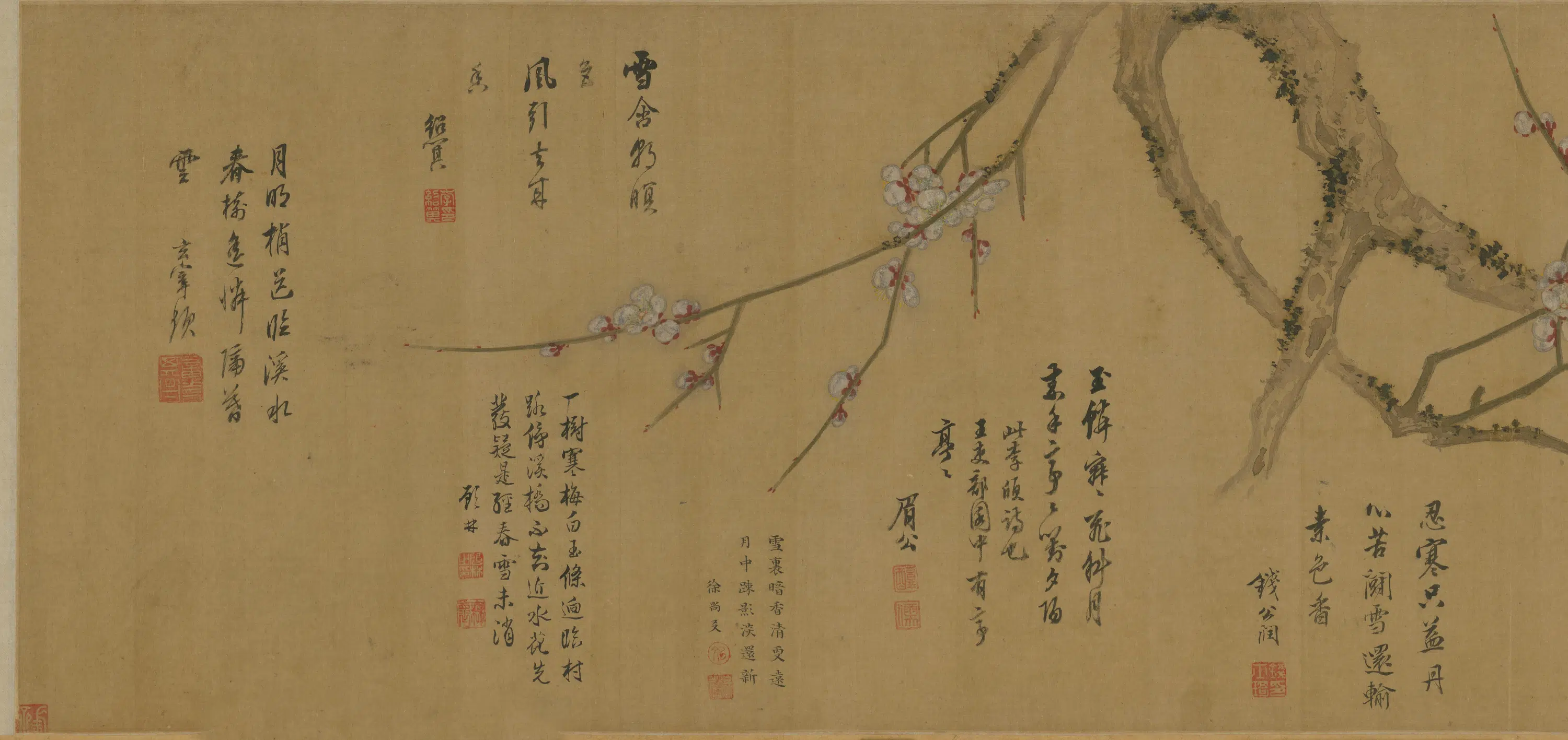 明朝【陈继儒】《梅花双禽卷》 第1张