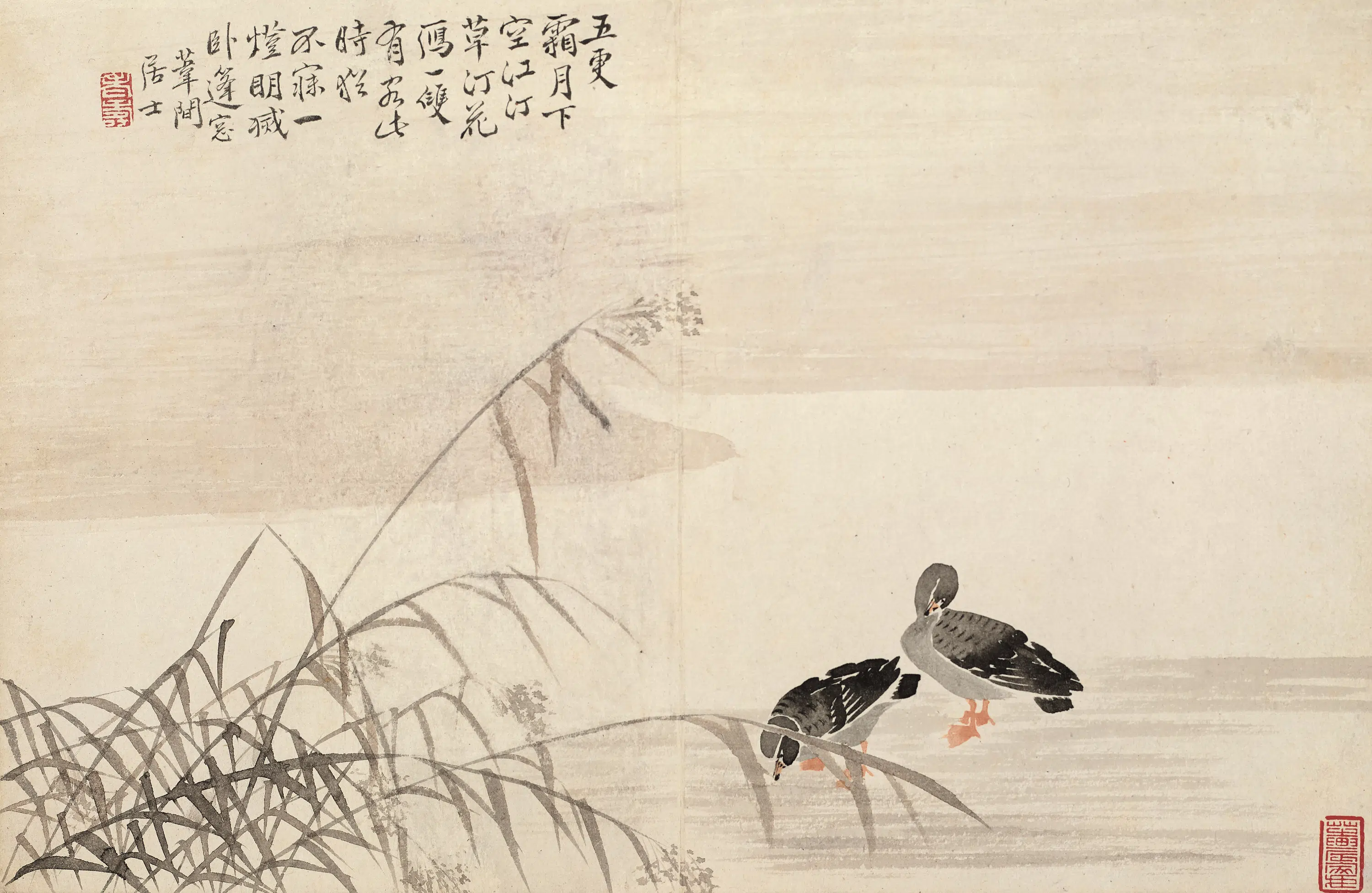 清代【边寿民】《芦雁图册》 第4张