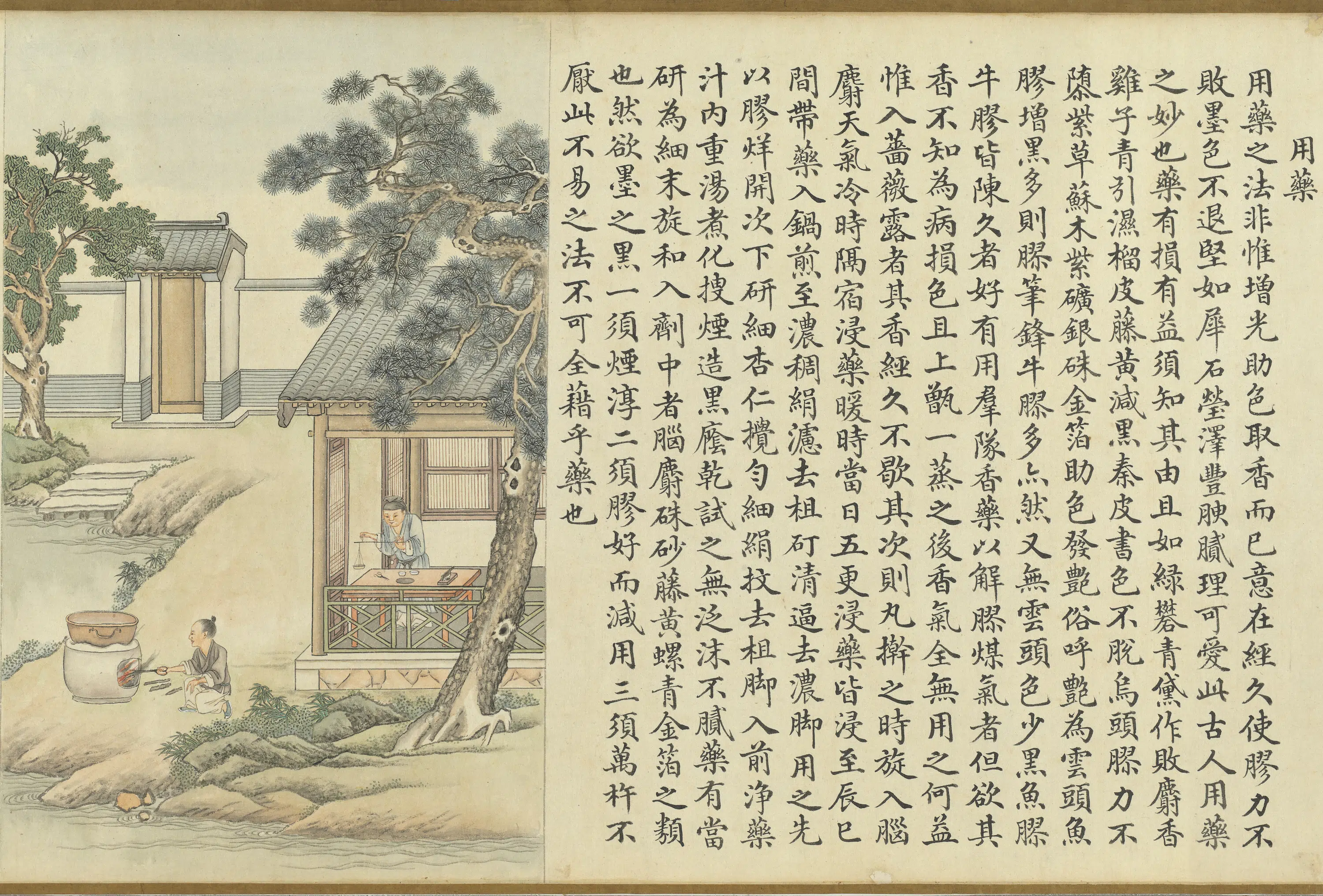 清代【沈初】《徐扬墨法集要图卷_用药》