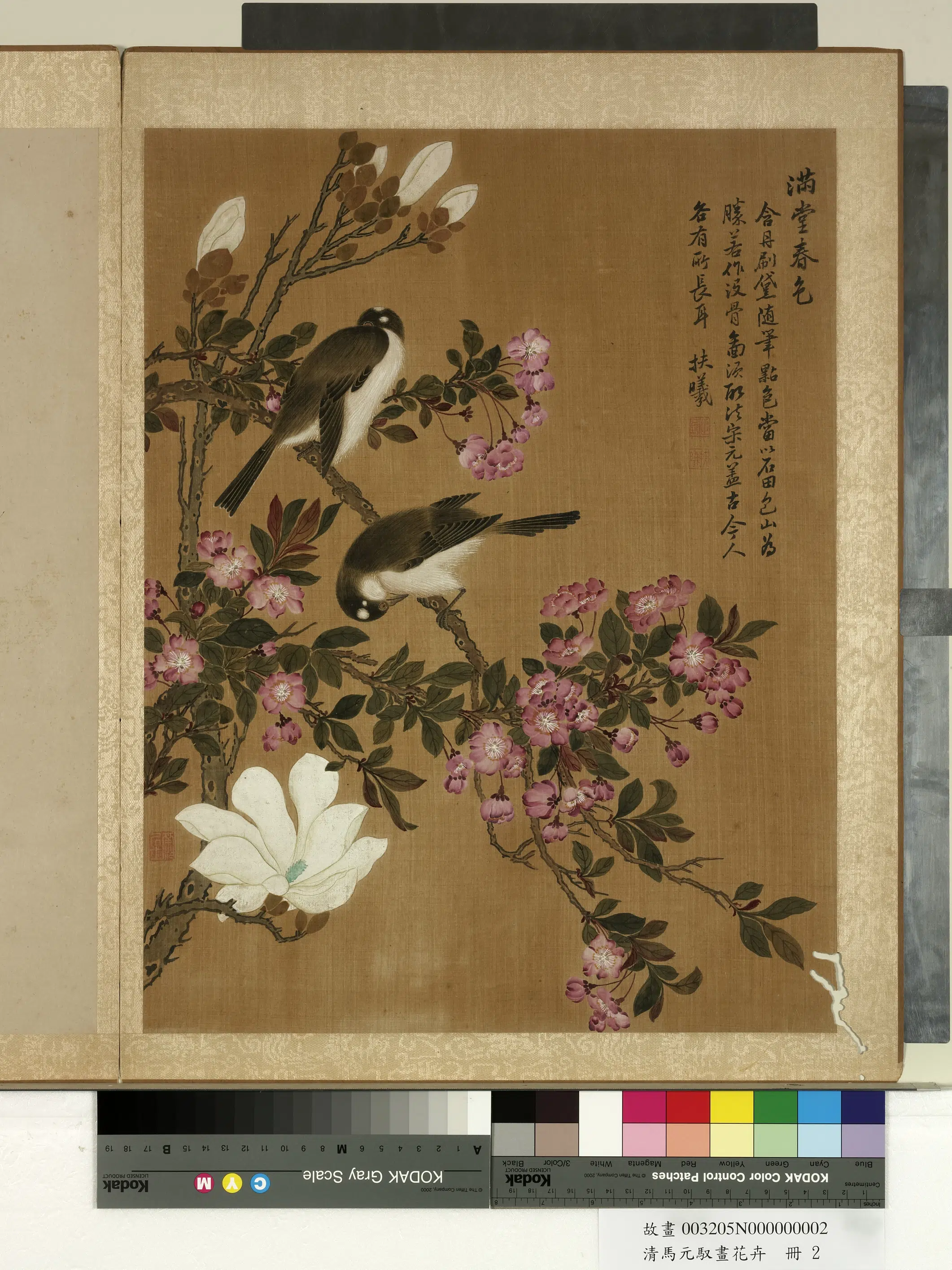 清朝【马元驭】《画花卉册-海棠辛夷》
