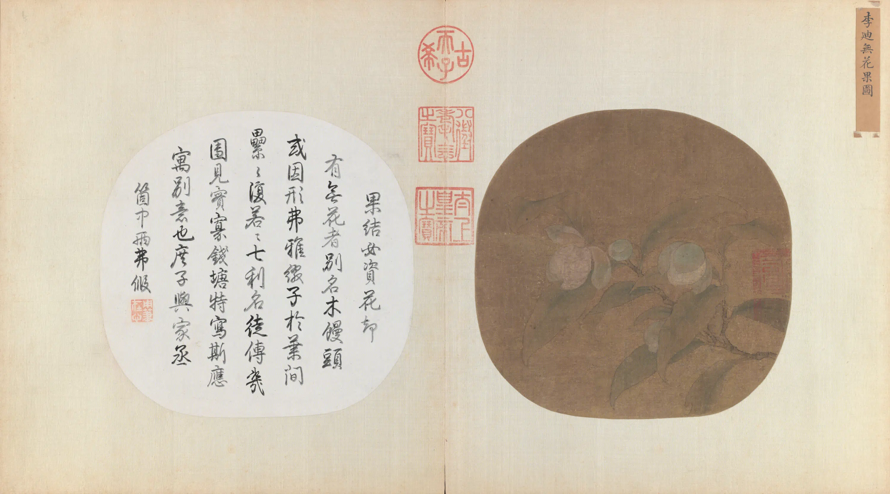 宋代《宋人名流集藻册-宋人无花果页》