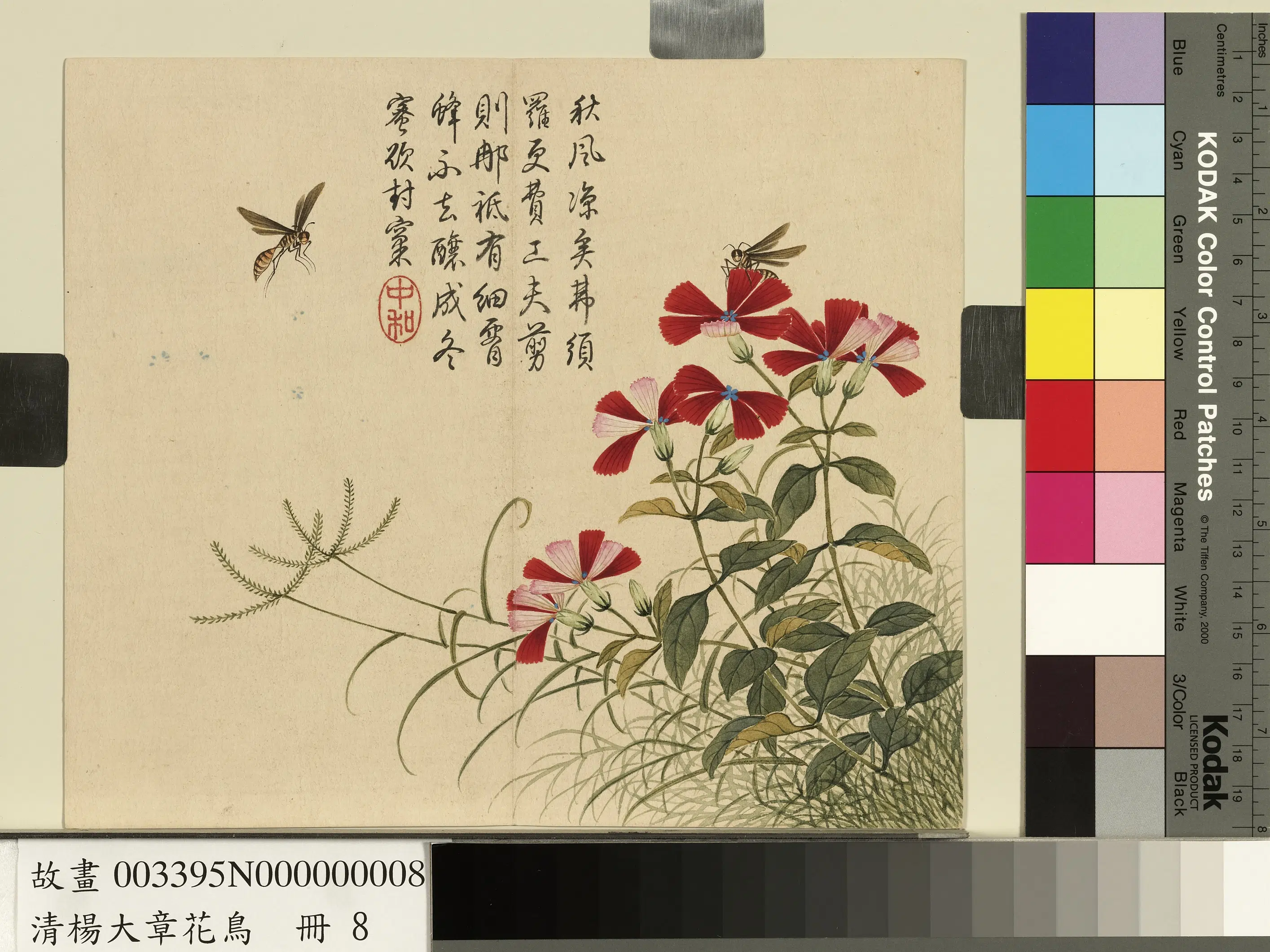 清代【杨大章】《花鸟册》