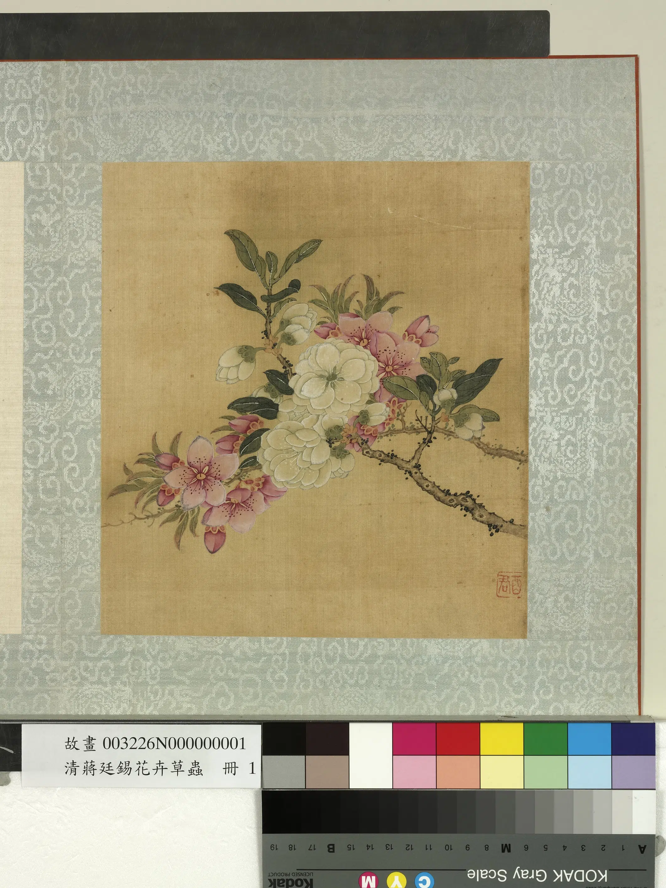 清代【蒋廷锡】《花卉草虫册-碧桃》