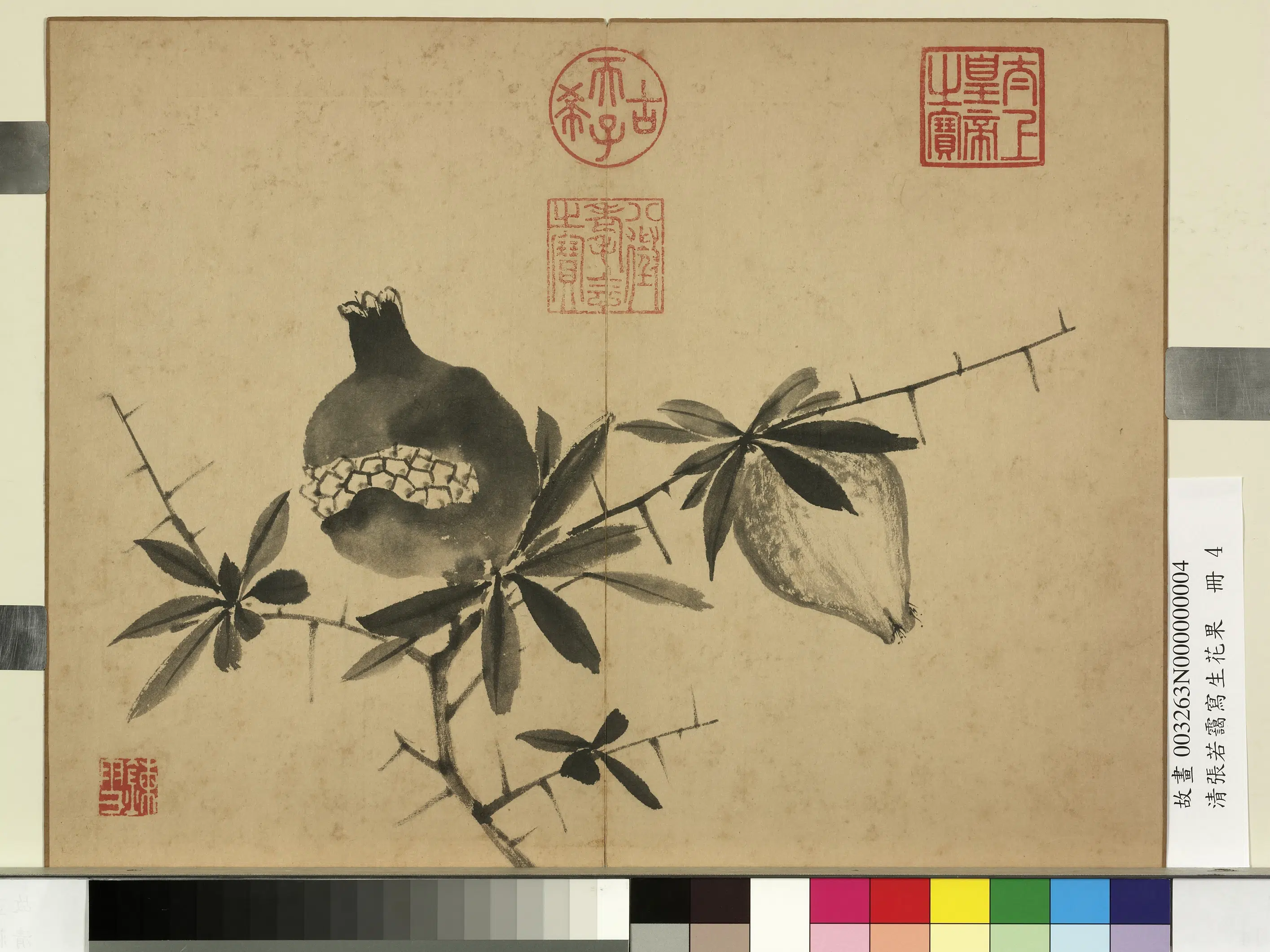 清代【张若霭】《写生花果册-榴实》