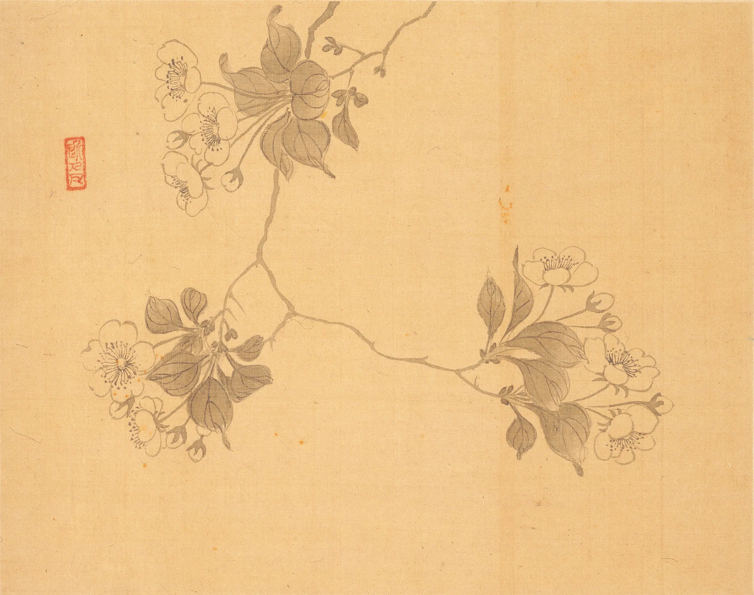 清代【汪士慎】《花卉册》 第15张 清代【汪士慎】《花卉册》 第15张