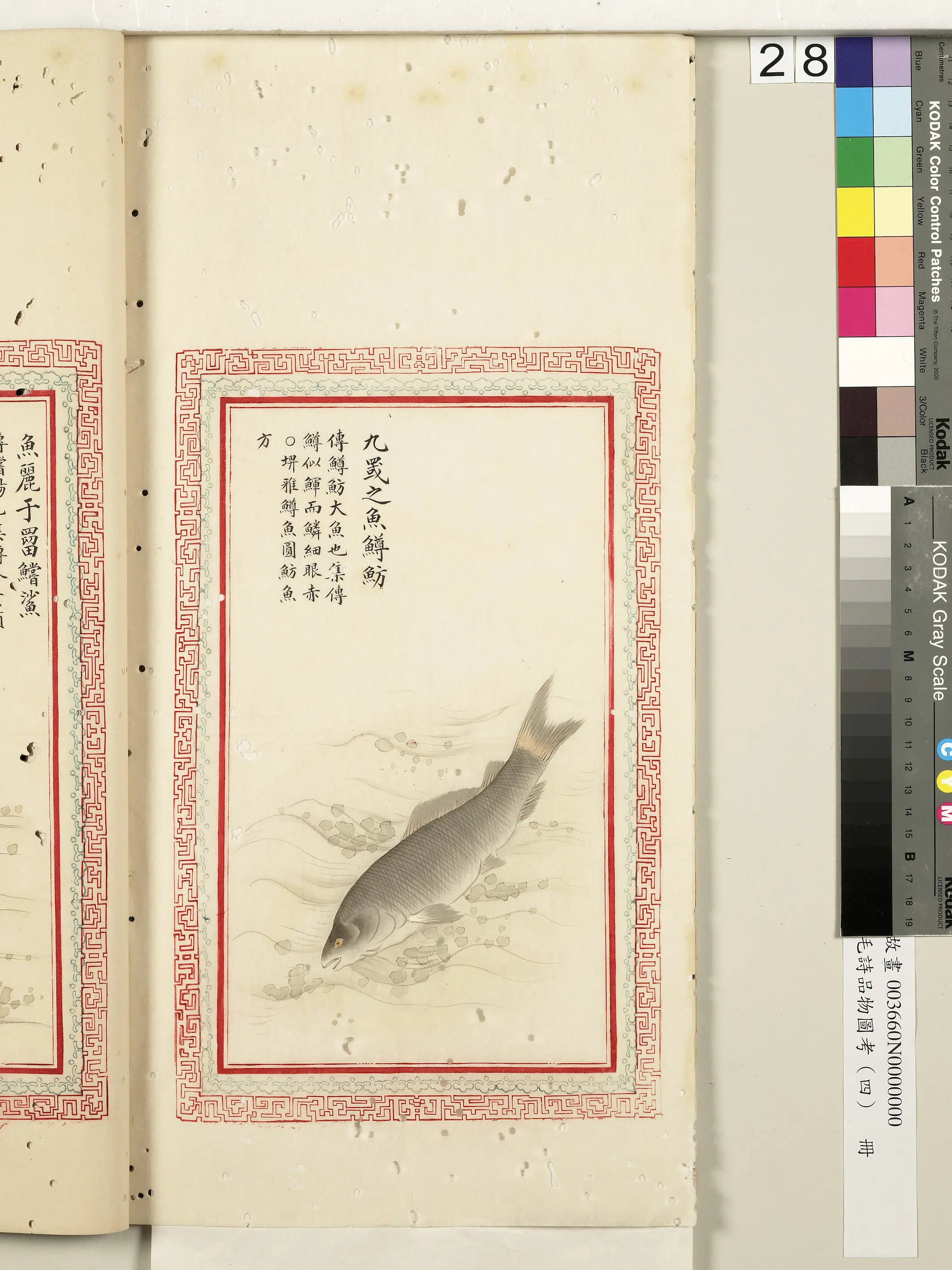 清代《毛诗品物图考（四）册-2》