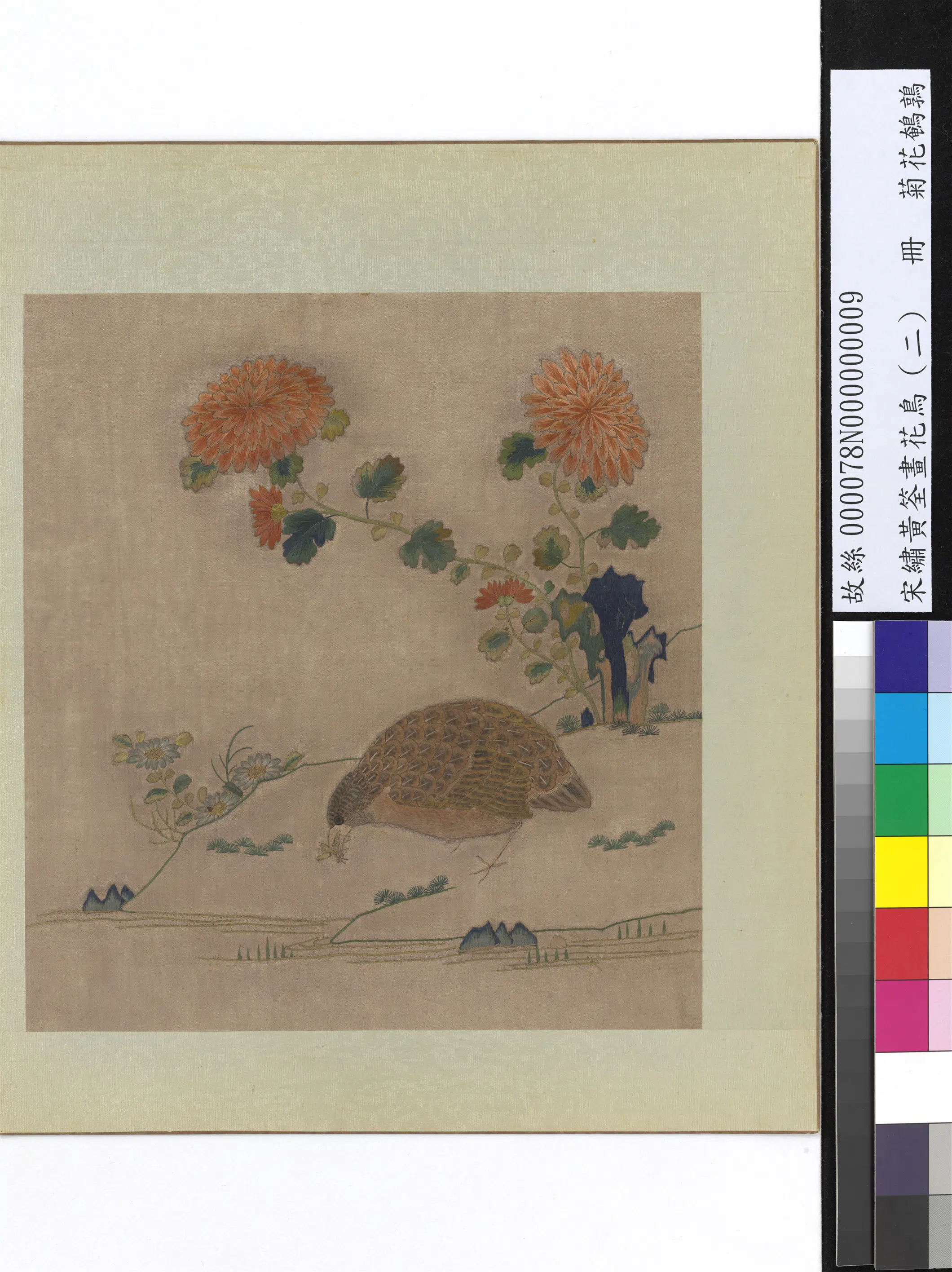五代十国前后蜀【黄筌（荃）】《绣黄筌画花鸟（二）册》 第9张