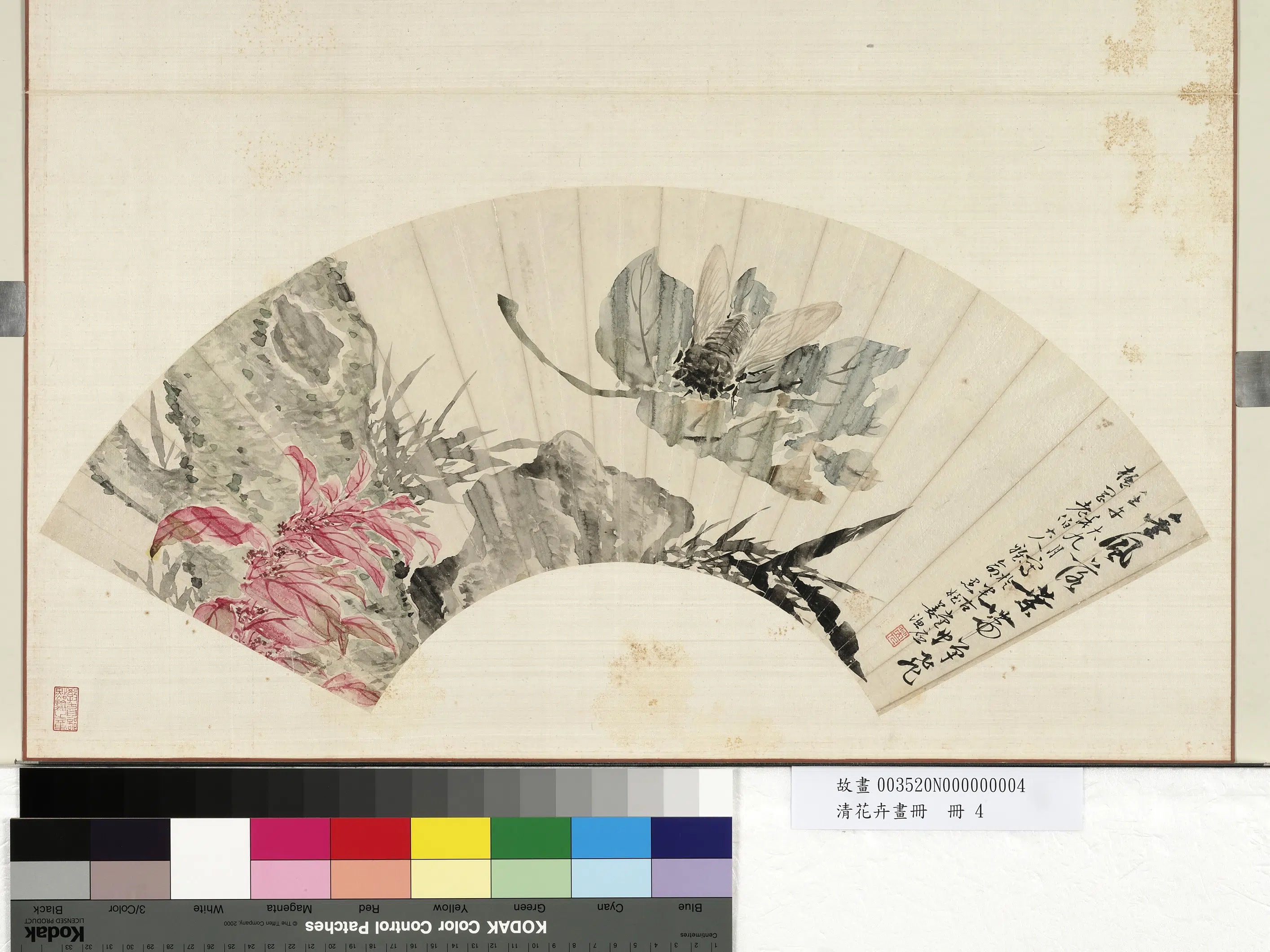清代【姜渔】《花卉画册-姜渔雁来红》 第1张 清代【姜渔】《花卉画册-姜渔雁来红》 第1张