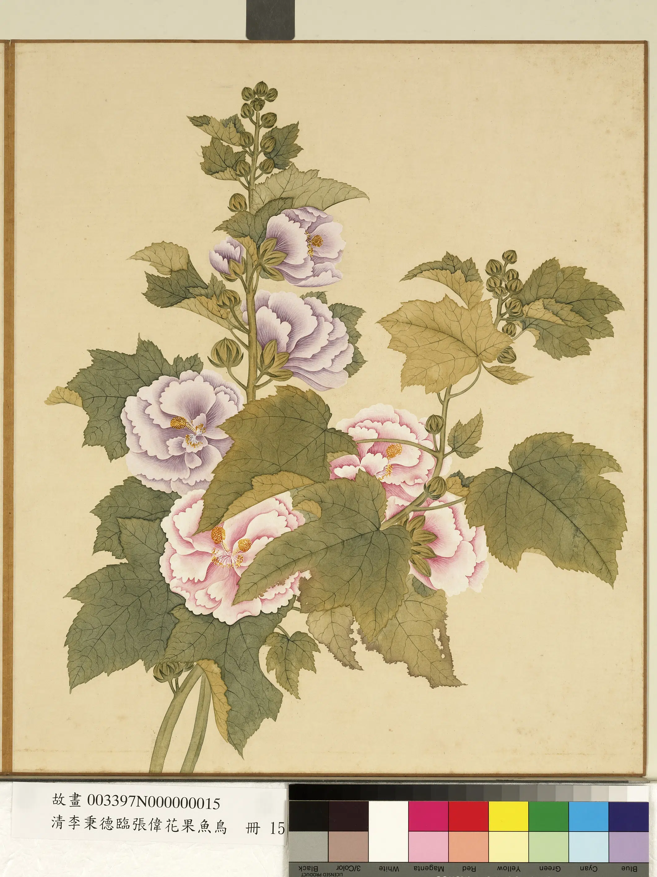 清代【李秉德】《临张伟花果鱼鸟册》 第23张