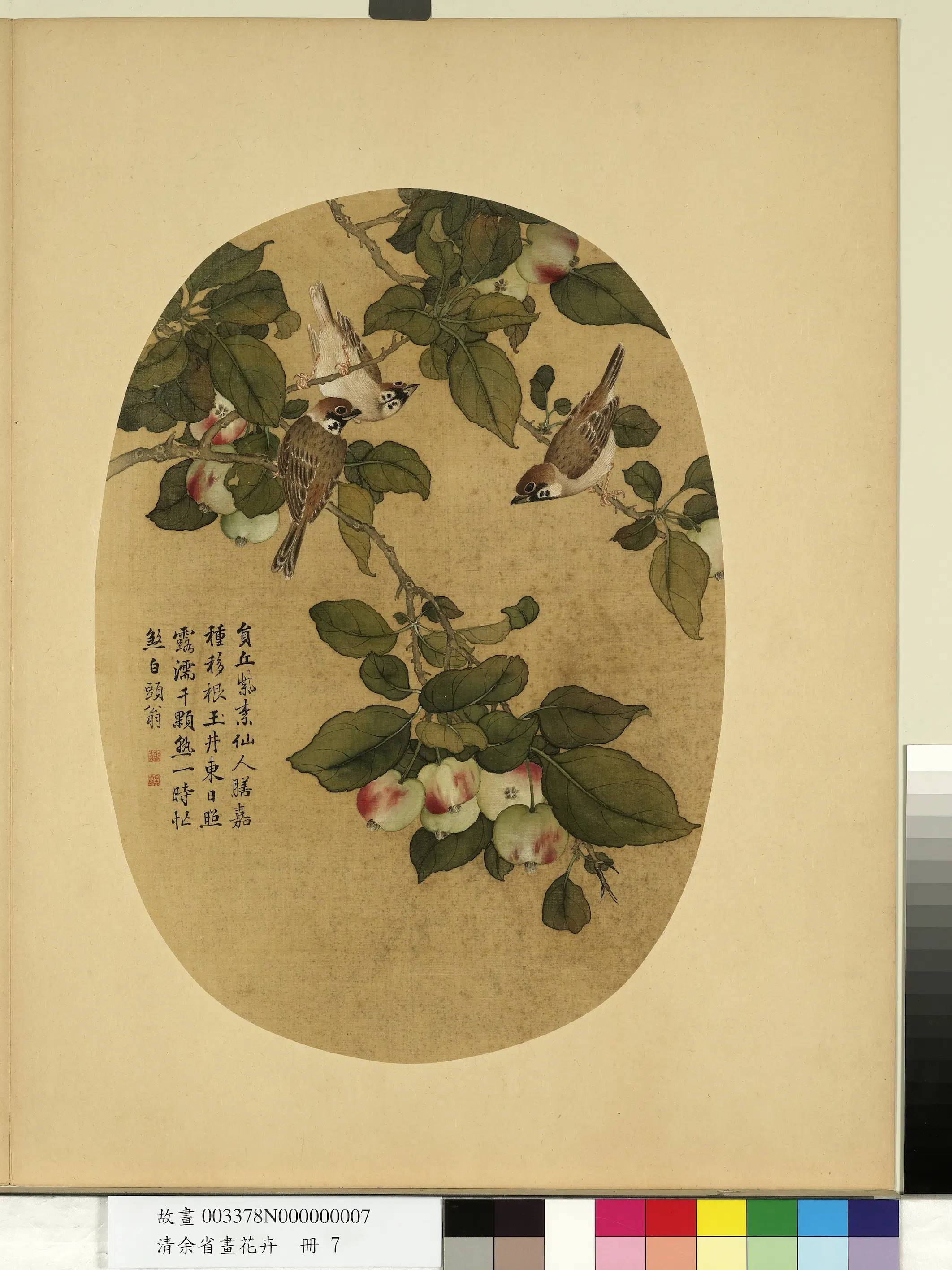 清代【余省】《画花卉册-林檎果》