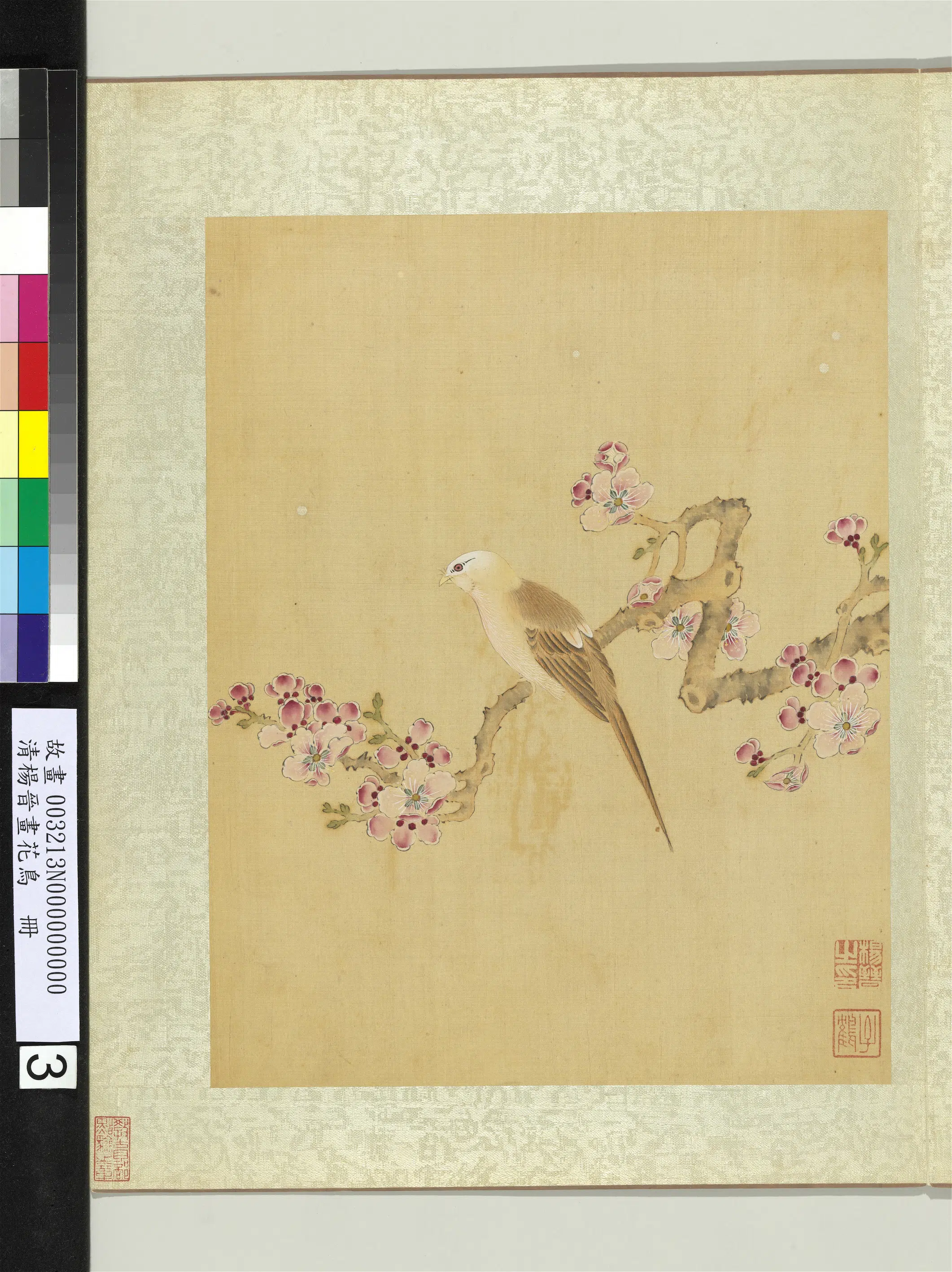 清代【杨晋】《画花鸟册-杏花黄脰》