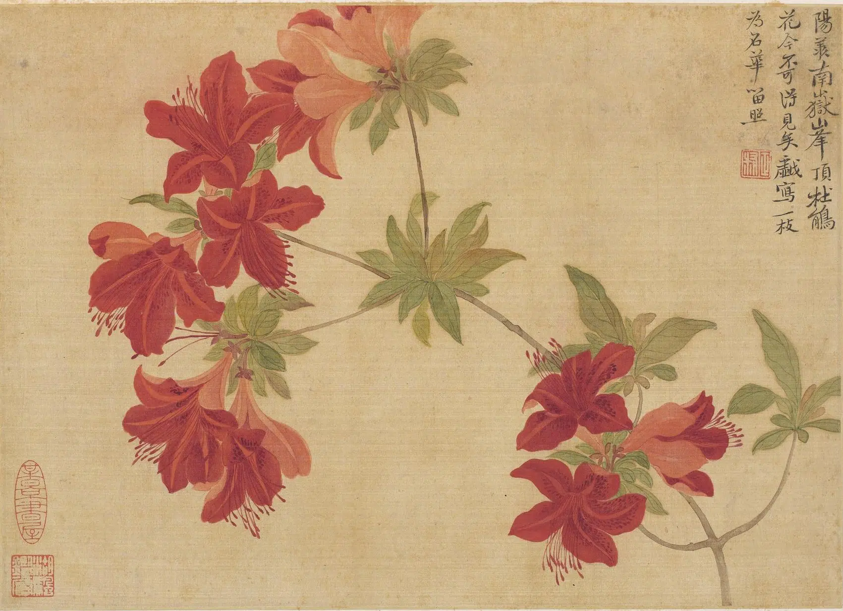 清代【恽寿平】《花卉图册(十开)》 第5张 清代【恽寿平】《花卉图册(十开)》 第5张