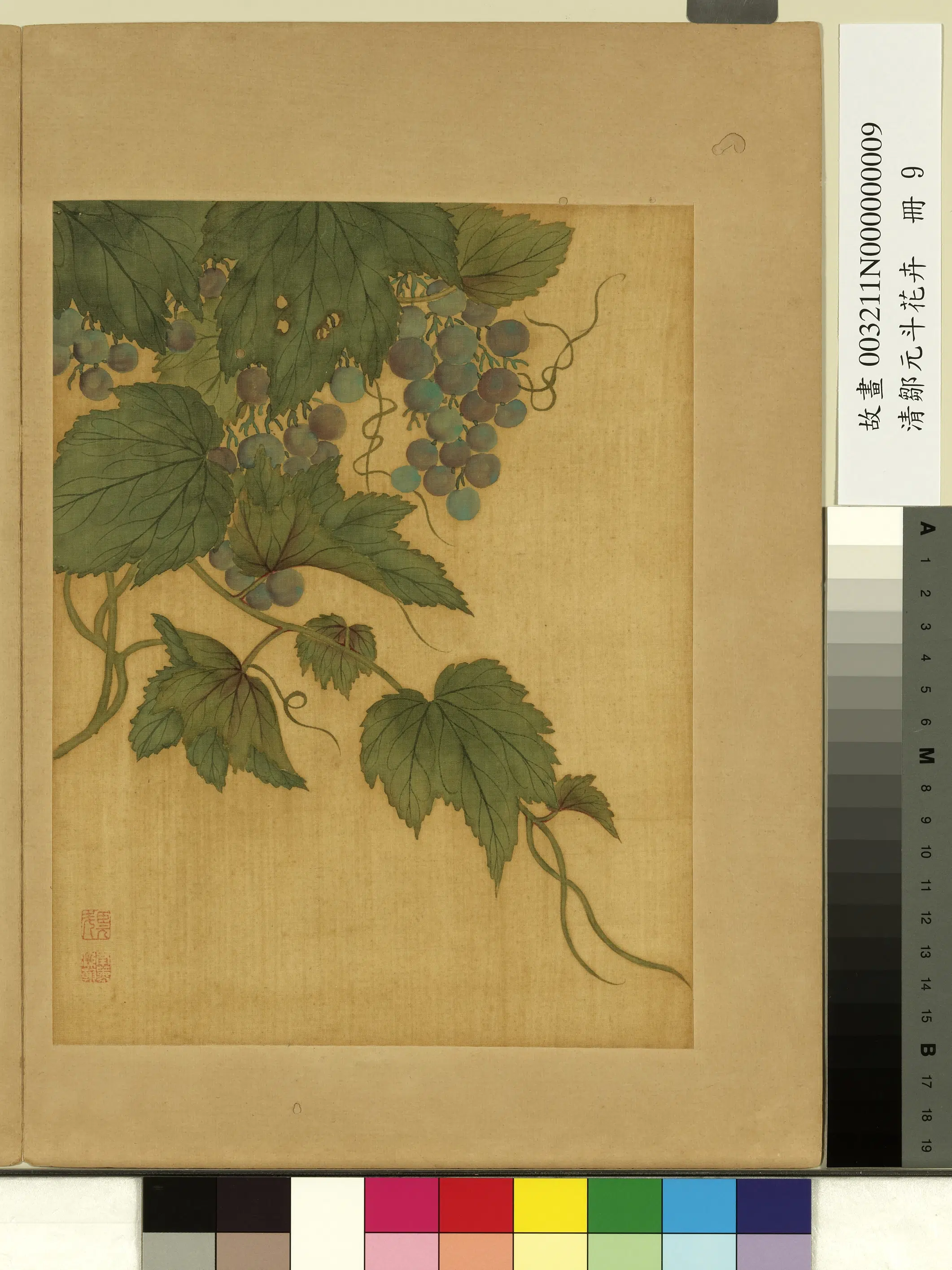 清代【邹元斗】《花卉册》 第10张 清代【邹元斗】《花卉册》 第10张