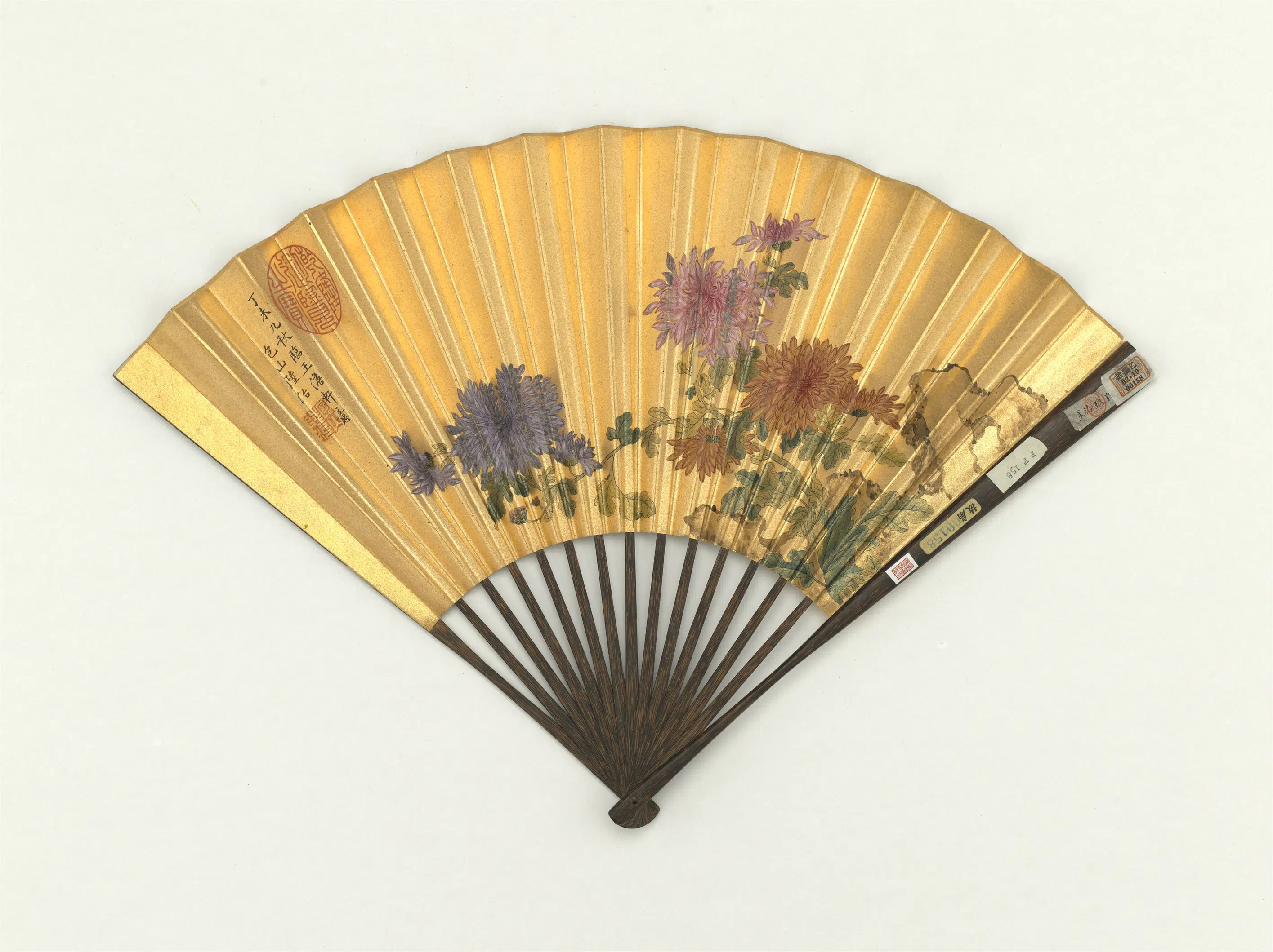 明代【陆治】《画菊花-成扇》