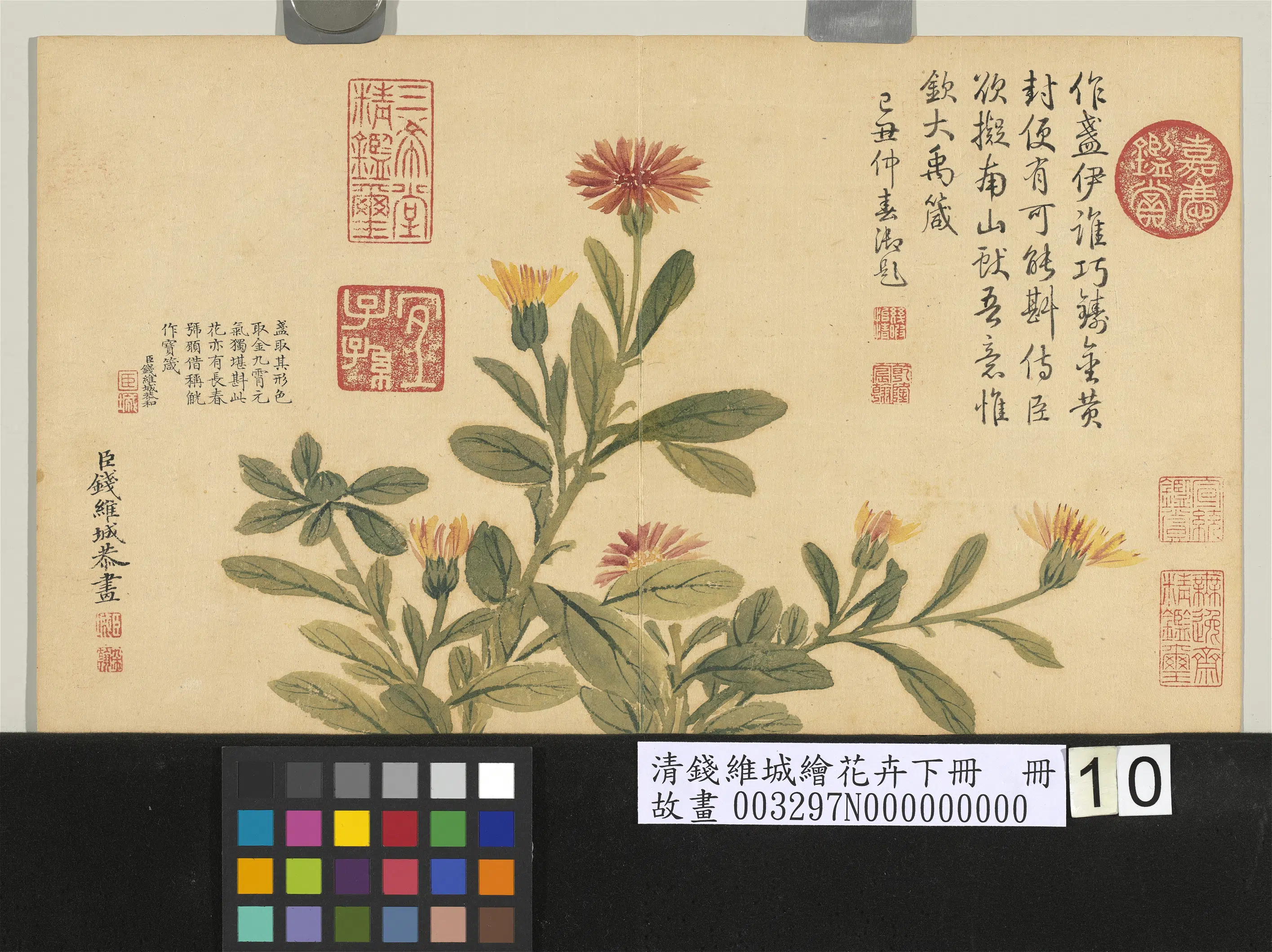 清代【钱维城】《绘花卉(下)册》 第11张 清代【钱维城】《绘花卉(下)册》 第11张