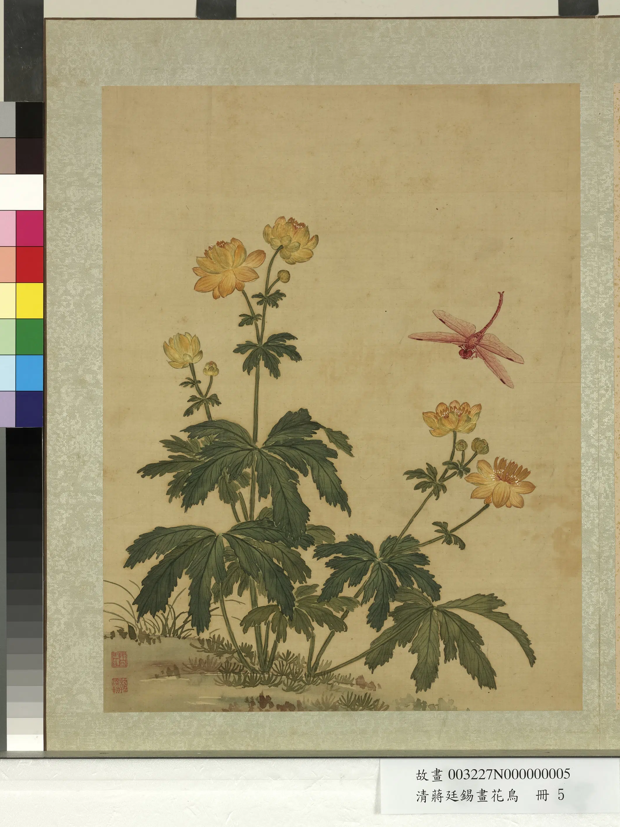 清代【蒋廷锡】《画花鸟册-1》 第11张