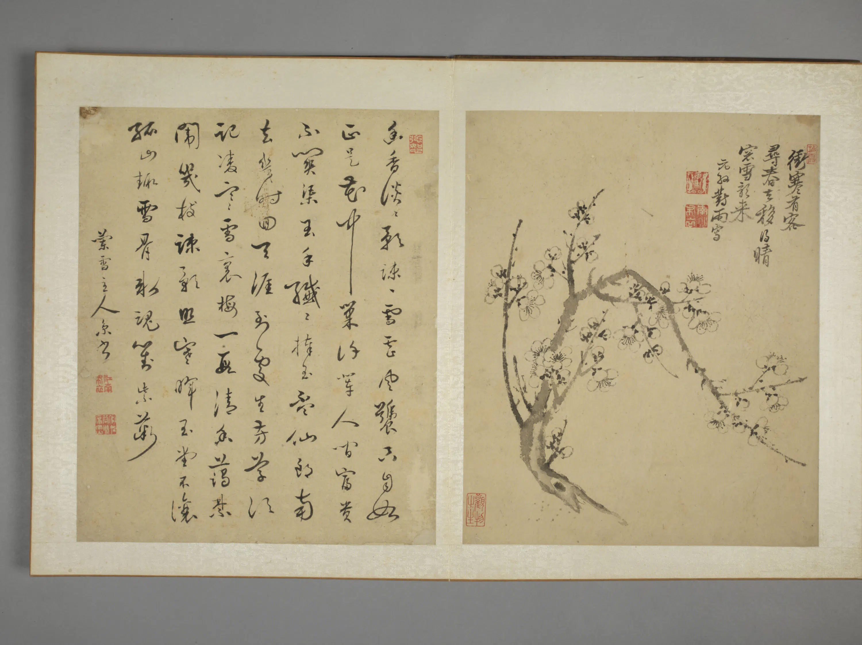清代【马元驭】《花鸟图册》 第3张