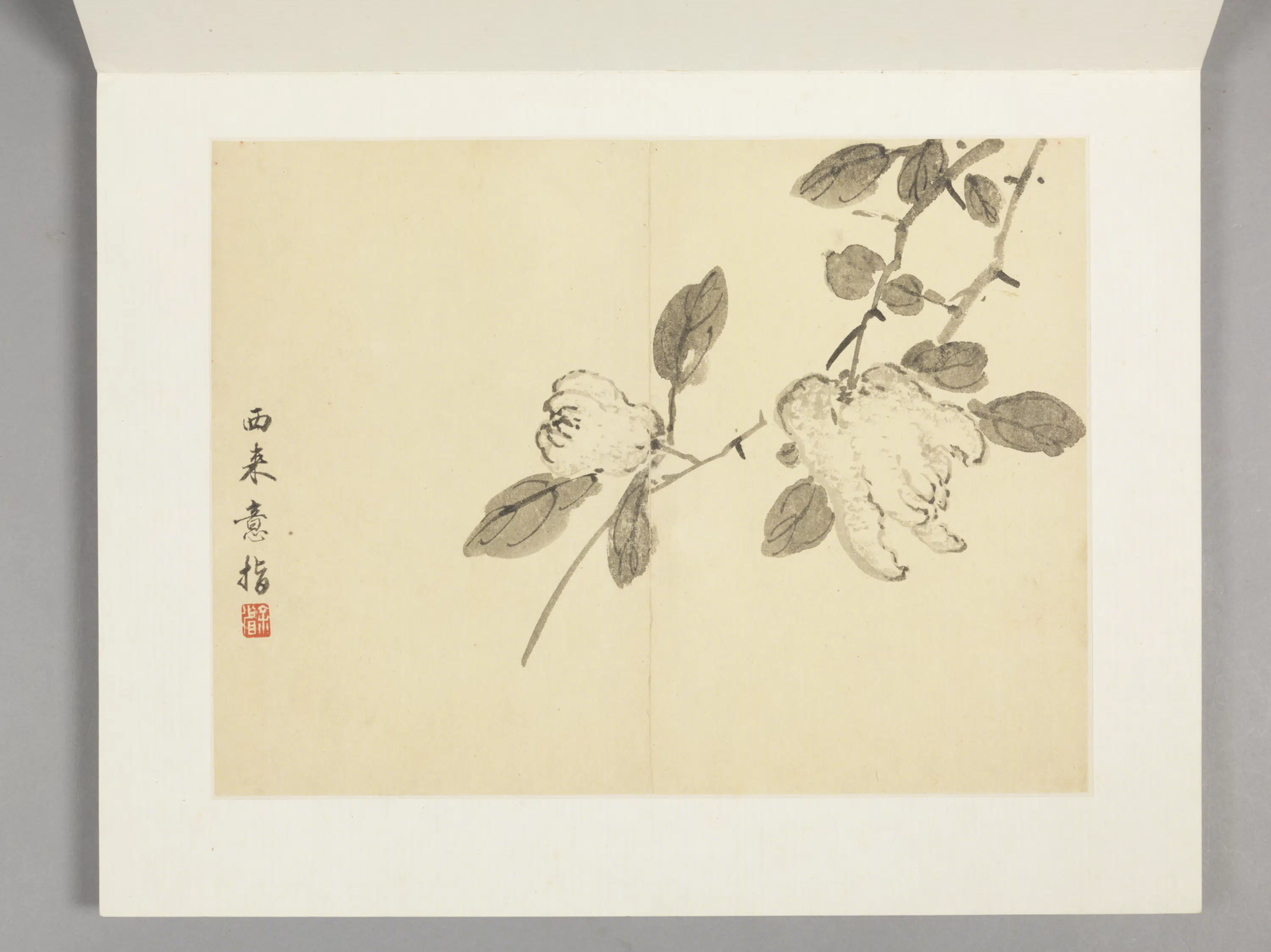 清代【余省】《花卉册（12开）》 第12张