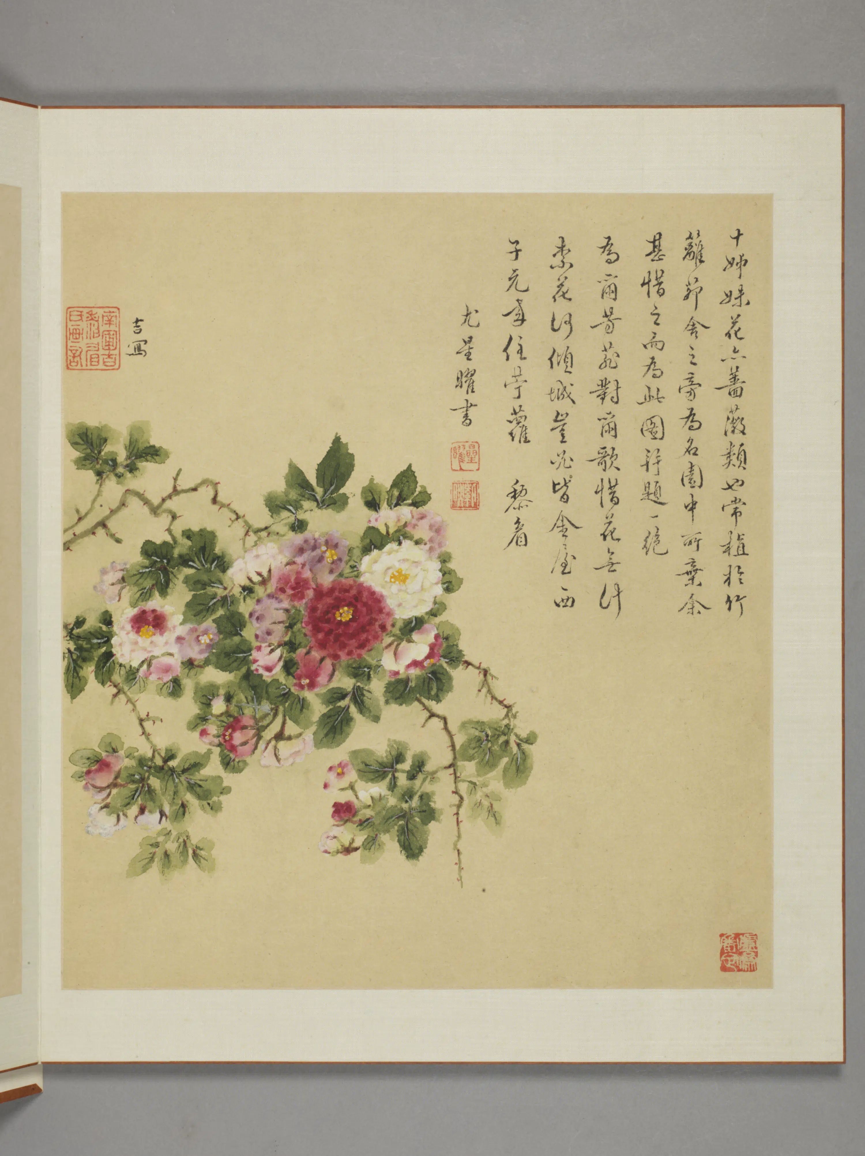 清代【邹显吉】《花卉图册》 第9张