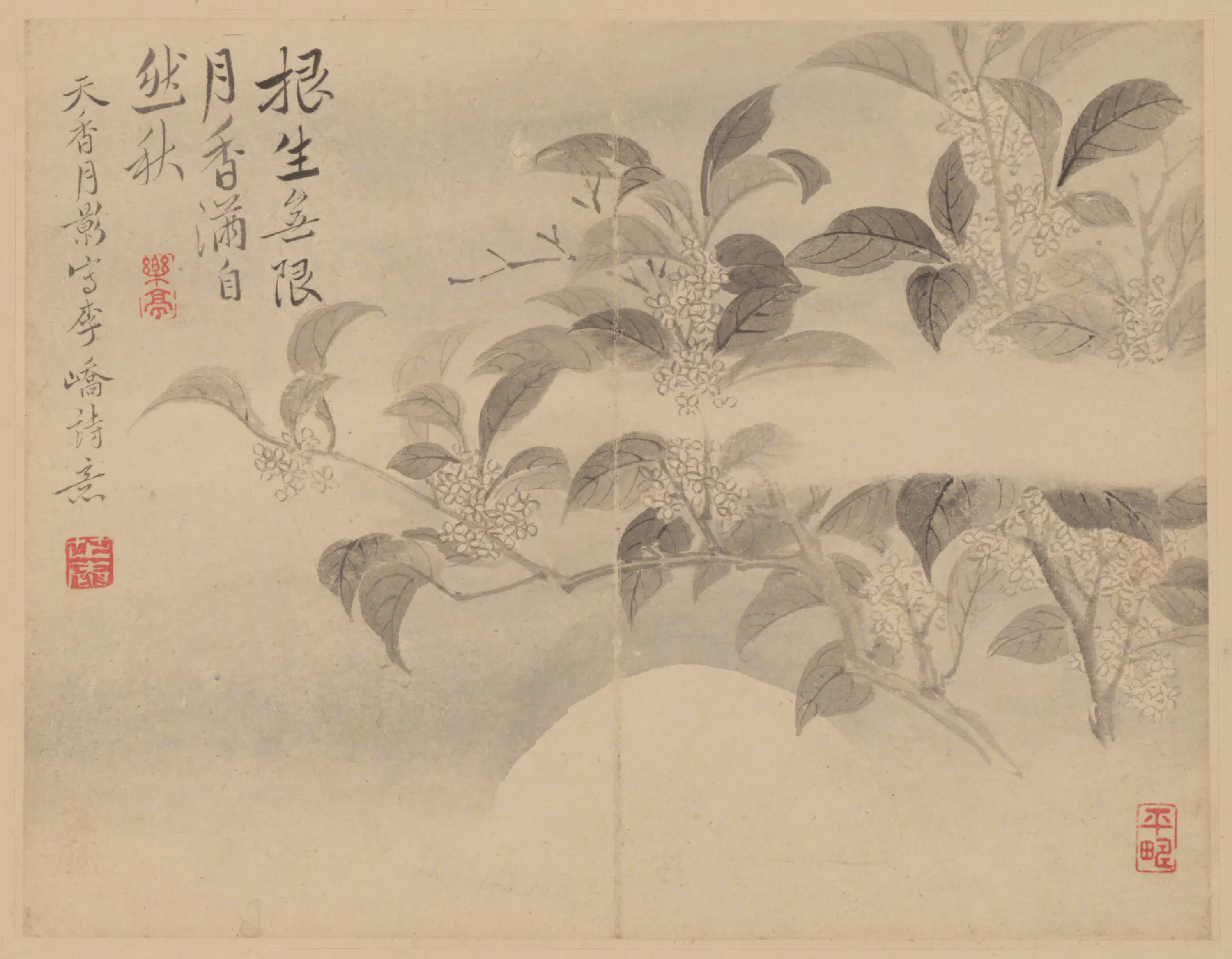 清代【范廷镇】《花卉册》 第11张 清代【范廷镇】《花卉册》 第11张