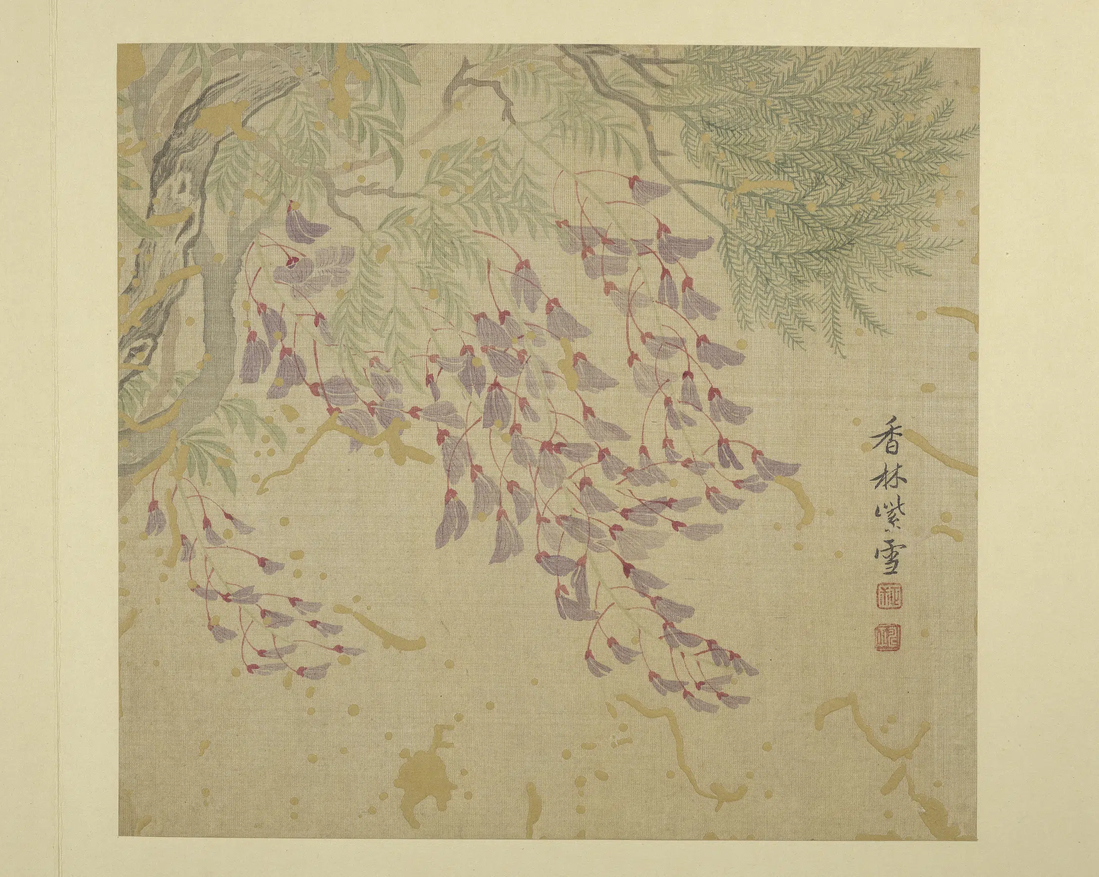 清代【恽寿平】《画花卉册-紫藤》