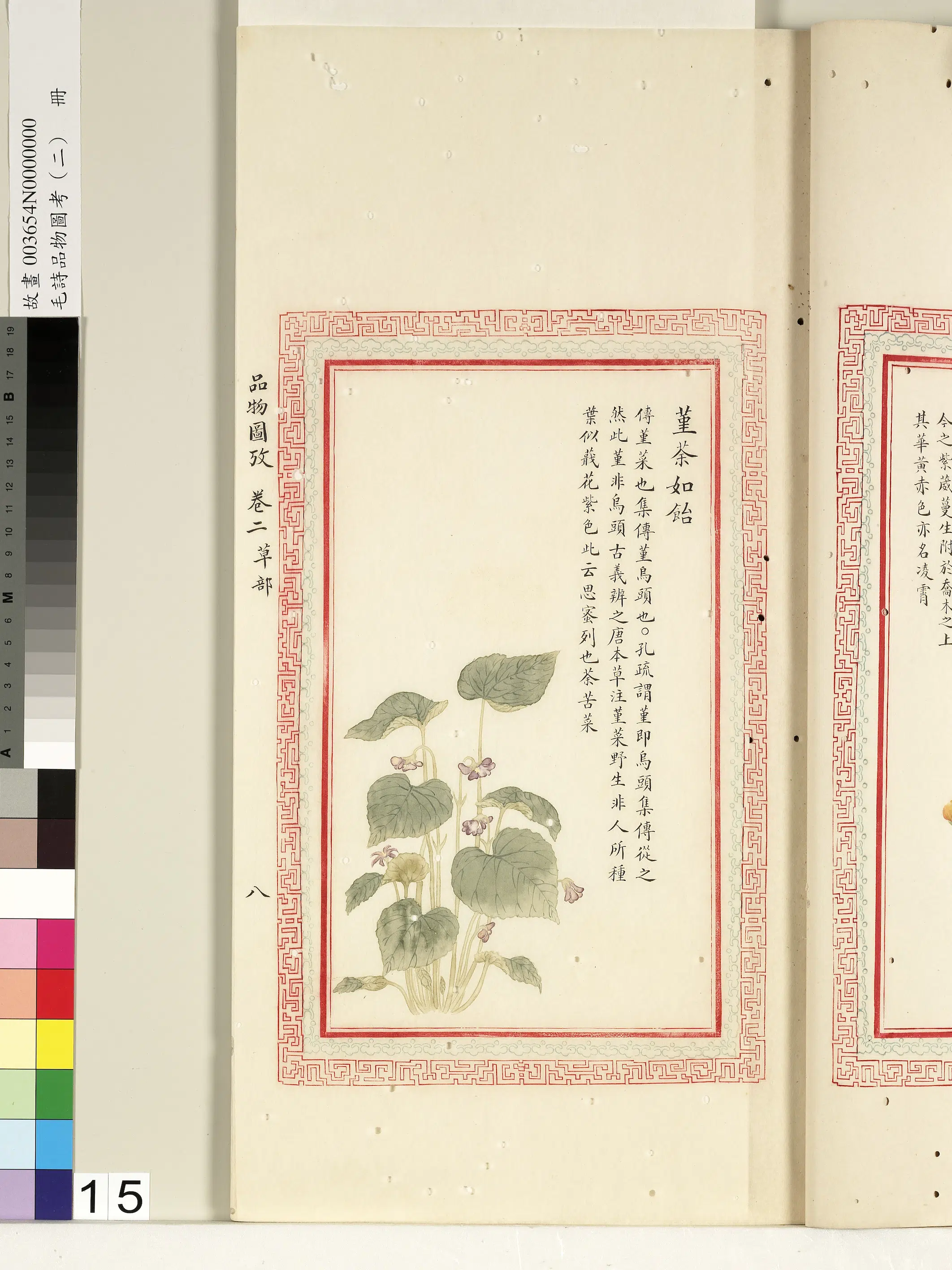 清朝【佚名】《毛诗品物图考（二）册-堇荼如饴-1》