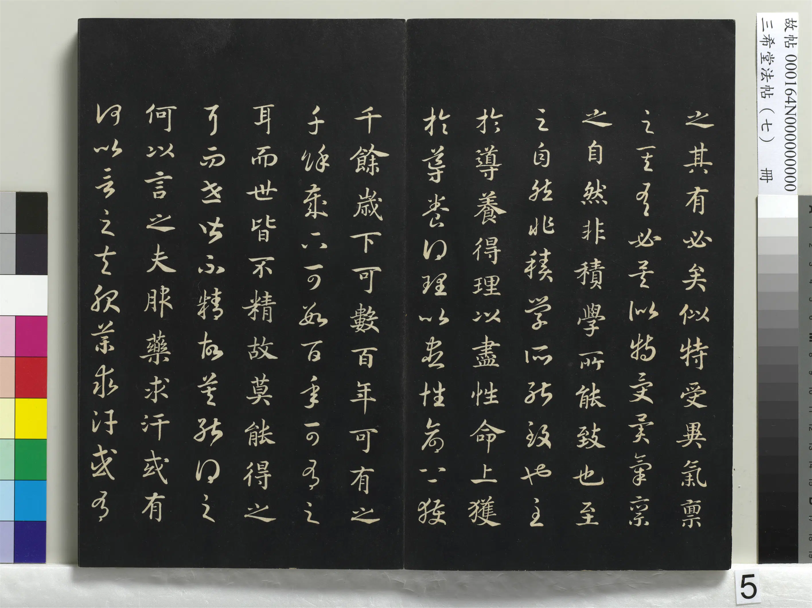 南宋【赵构-宋高宗】《三希堂法帖(七)册-宋高宗真草书嵇康养生论-1》 第18张 南宋【赵构-宋高宗】《三希堂法帖(七)册-宋高宗真草书嵇康养生论-1》 第18张