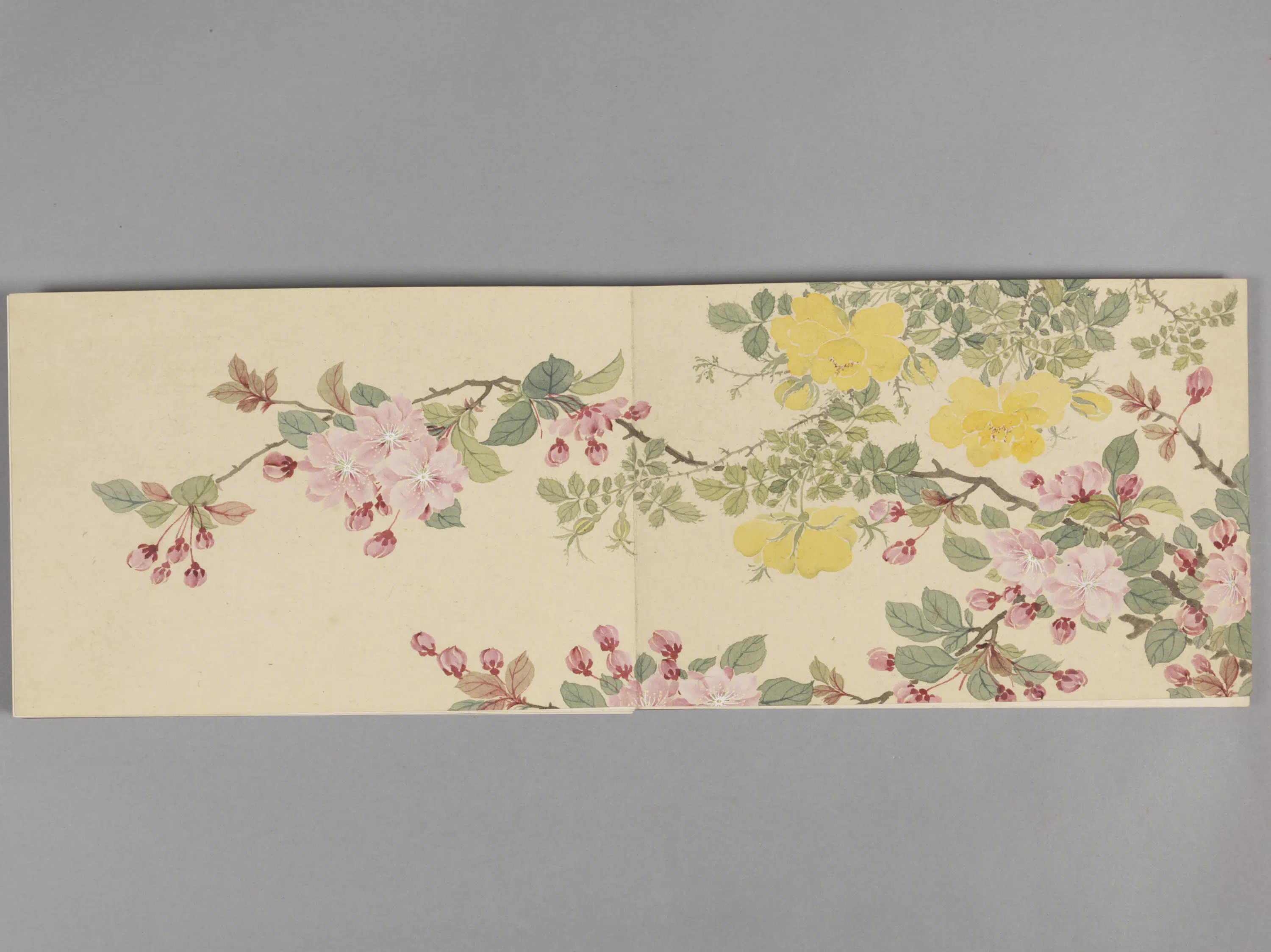 清代【董诰】《花卉册（8开）》 第1张
