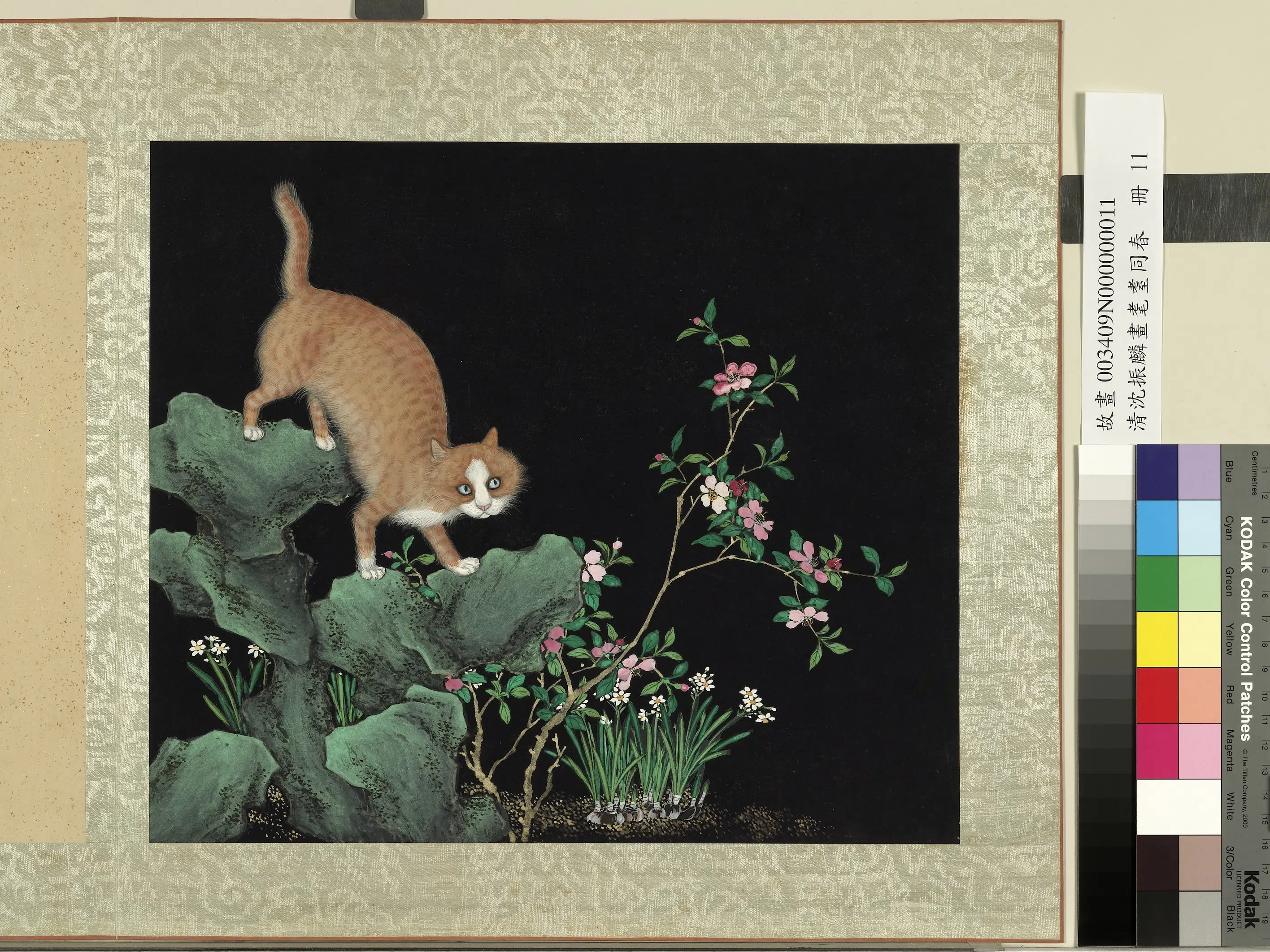 清朝【沈振麟】《画耄耋同春册_水仙狸奴》
