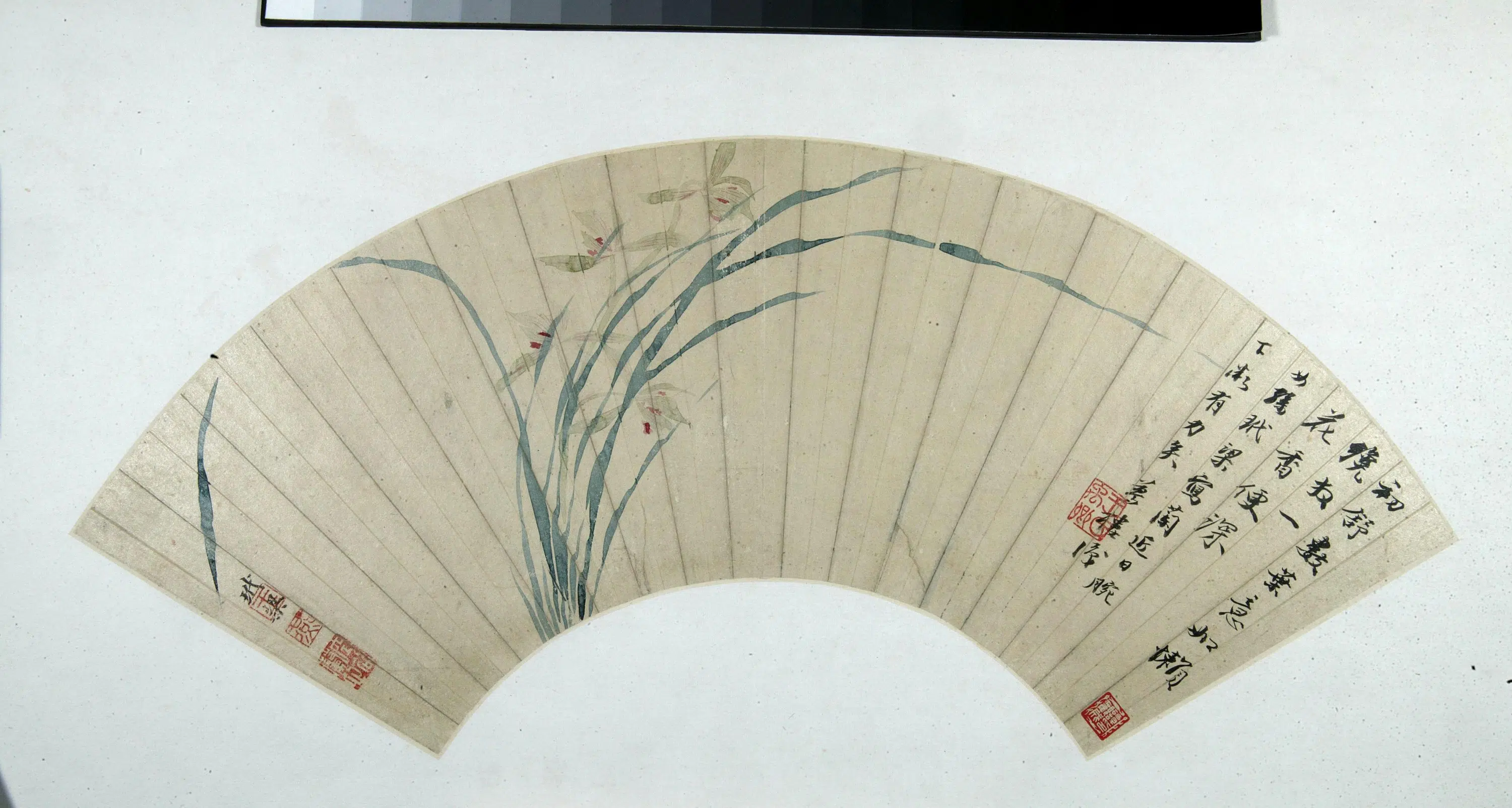 清代【王玉燕】《兰花图扇页》