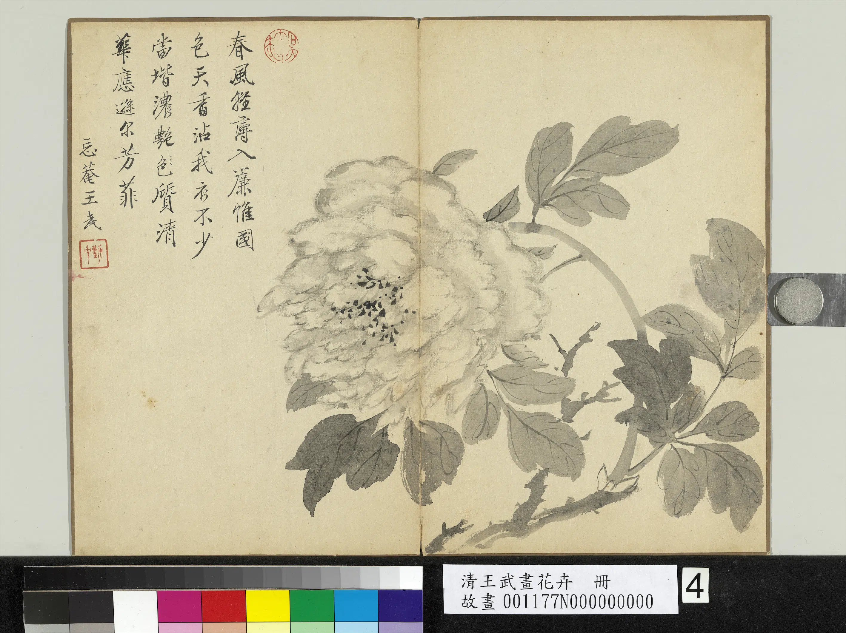 清代【王武】《画花卉册-牡丹》