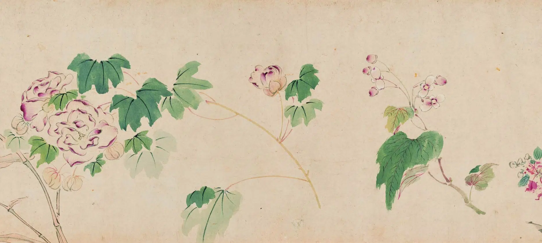 明朝【马守真】《花卉卷》 第3张