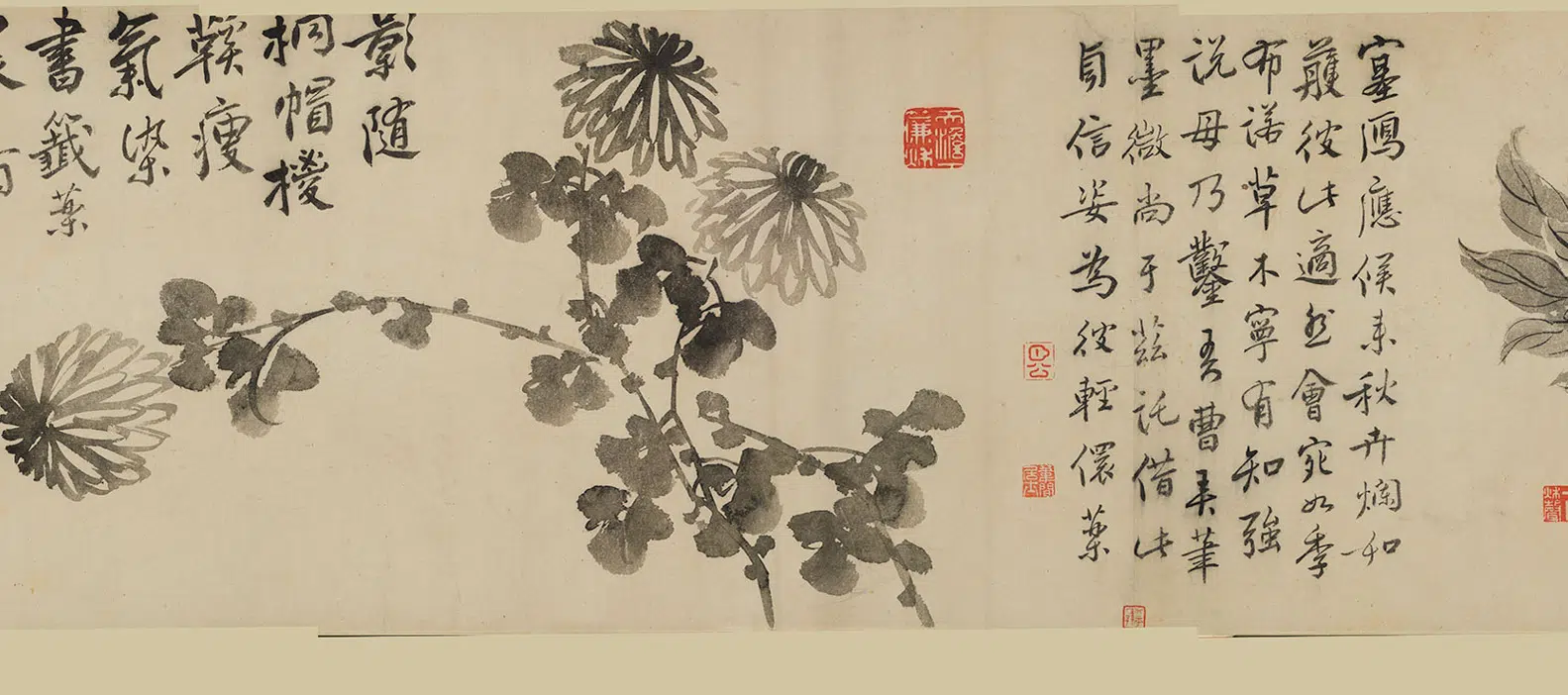 清代【边寿民】《花卉图卷》 第2张