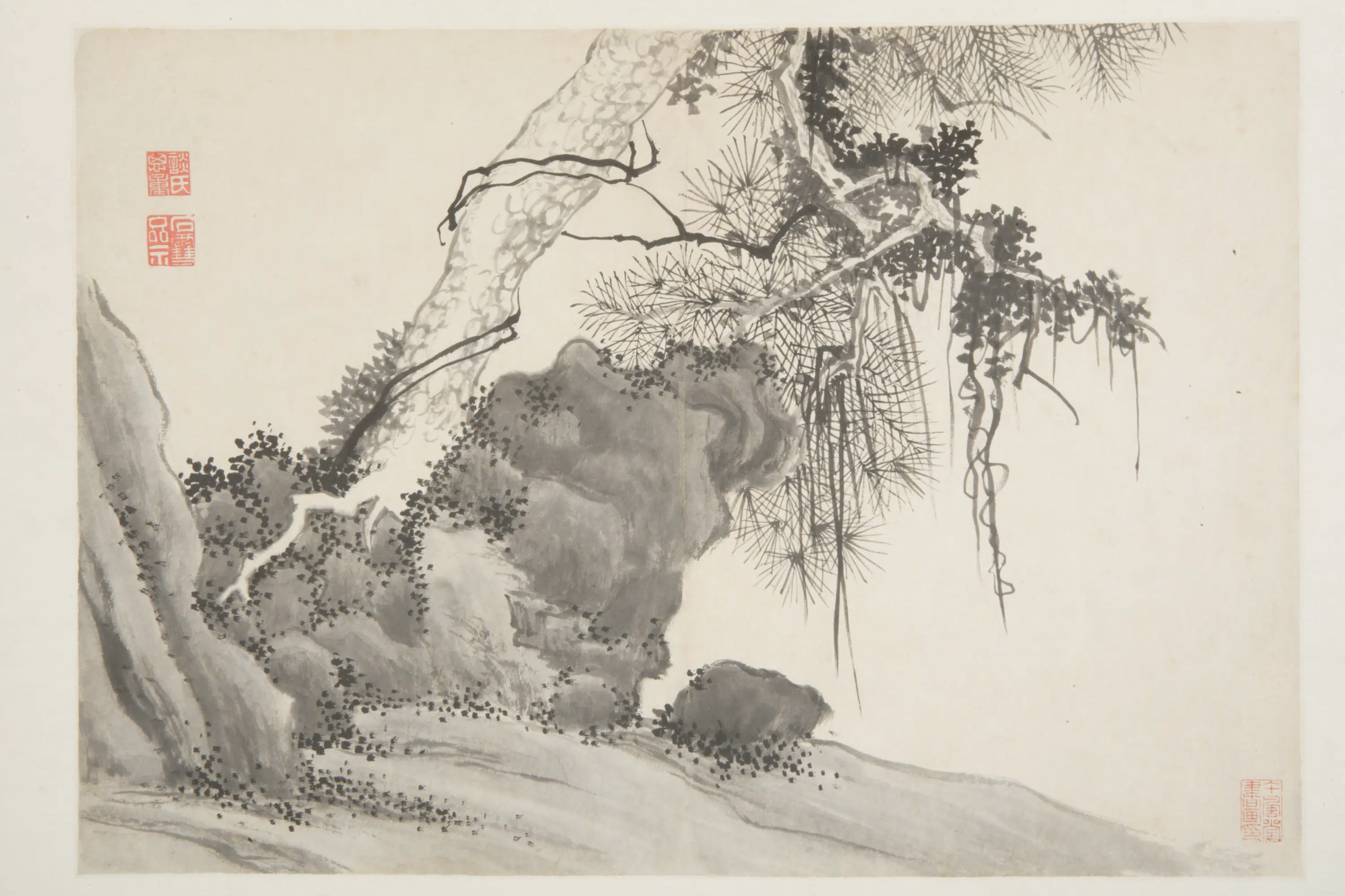 明朝【谈志伊】《花鸟册》 第11张