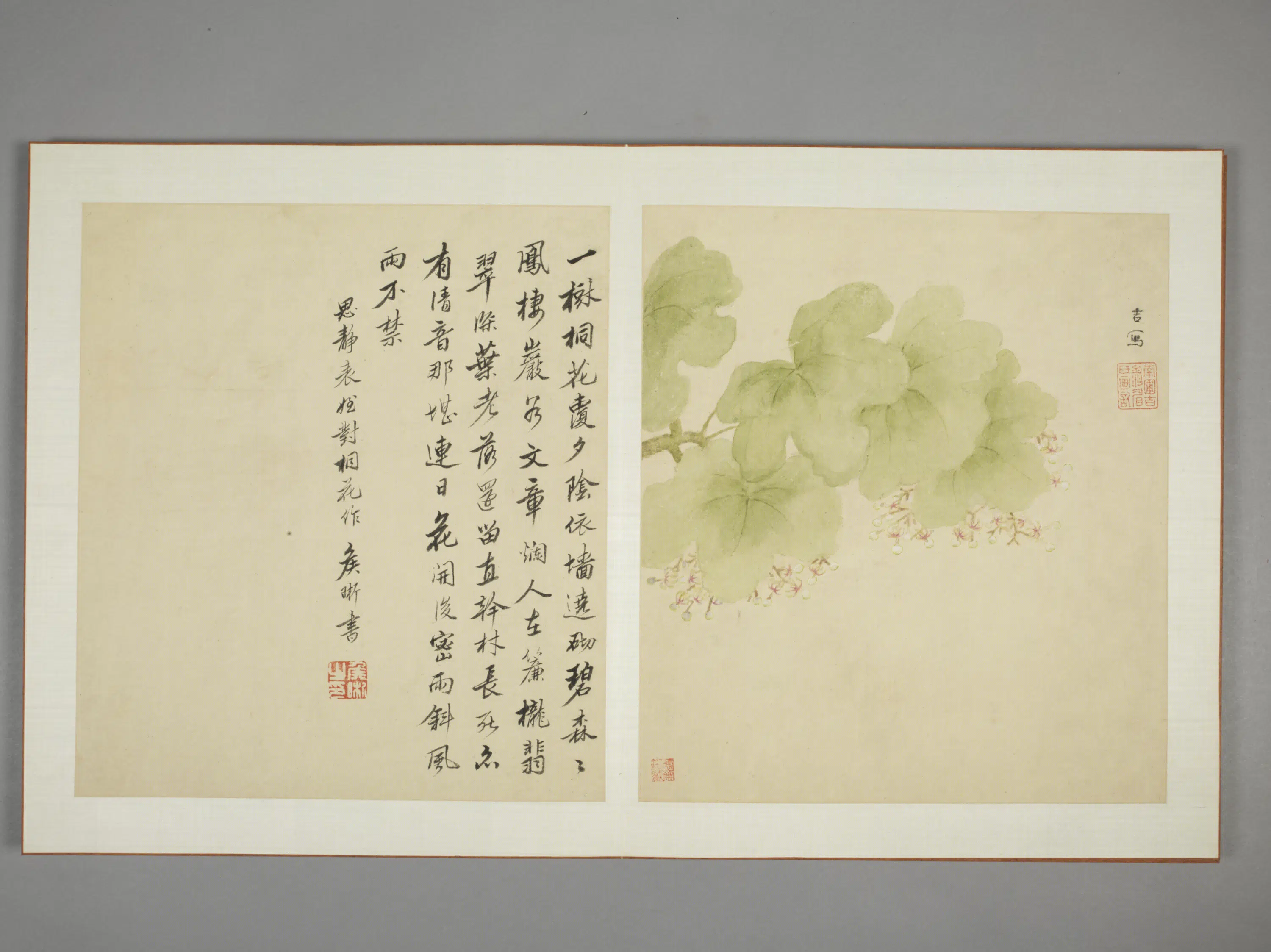 清代【邹显吉】《花卉图册》 第2张