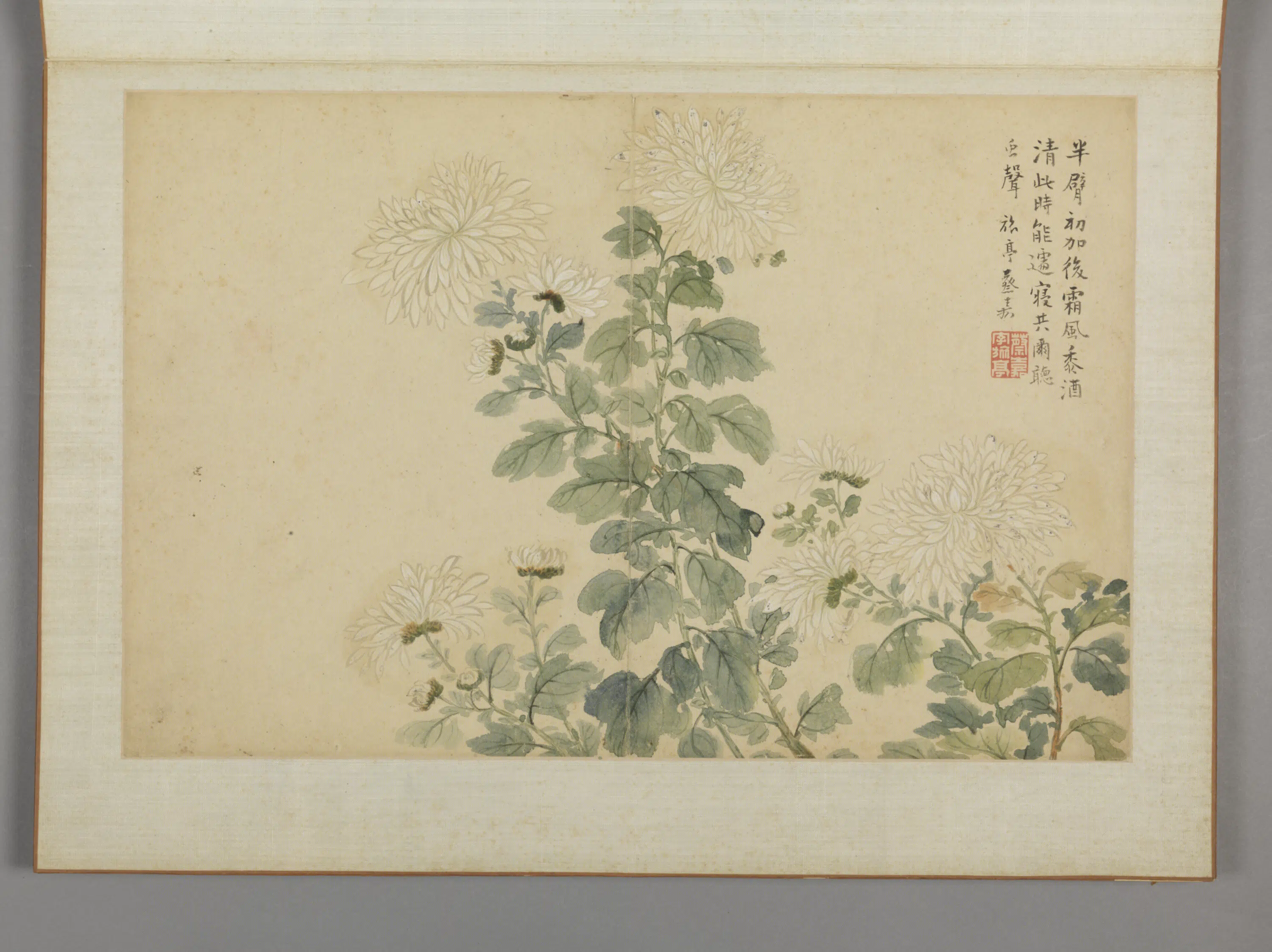 清代【蔡嘉】《花卉图册（11开）》 第7张