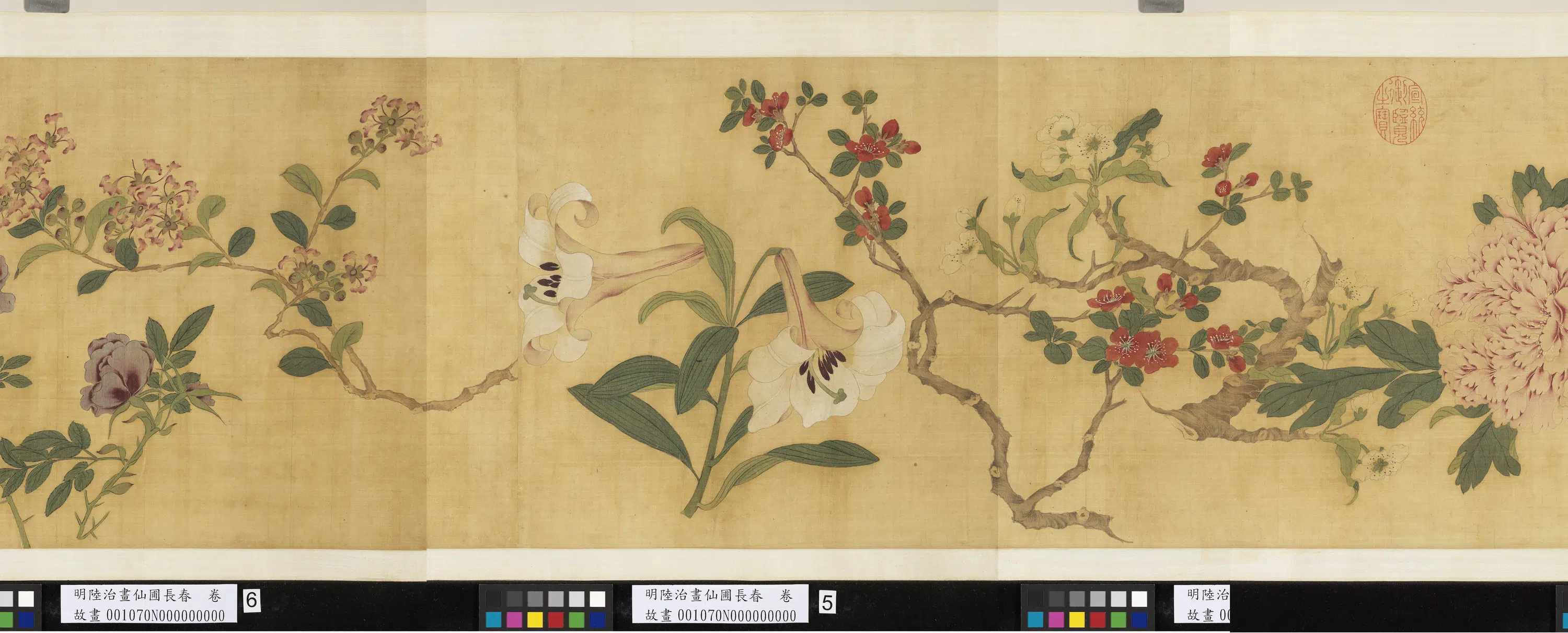 明代【陆治】《画仙圃长春卷》 第3张