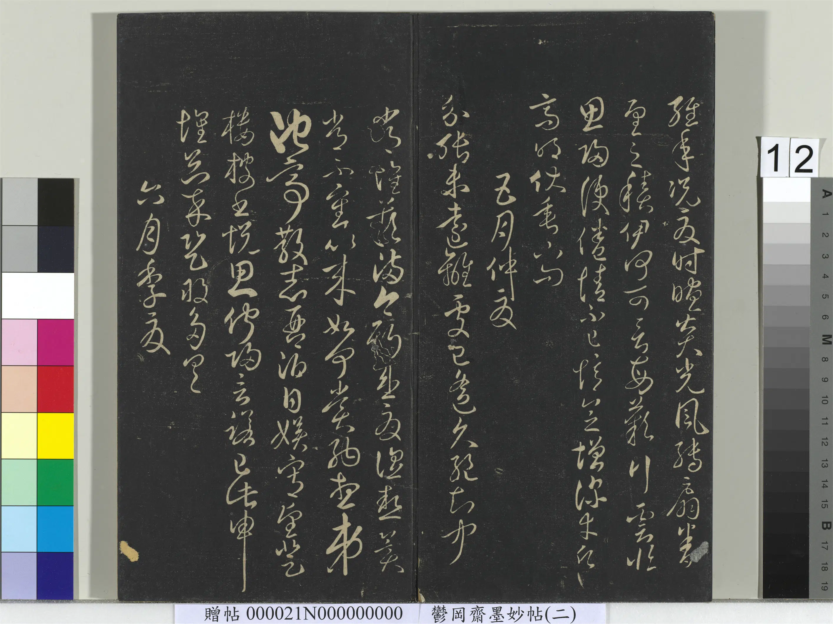 唐朝【佚名】《郁冈斋墨妙帖(七)册-唐无名氏书月仪》 第3张 唐朝【佚名】《郁冈斋墨妙帖(七)册-唐无名氏书月仪》 第3张