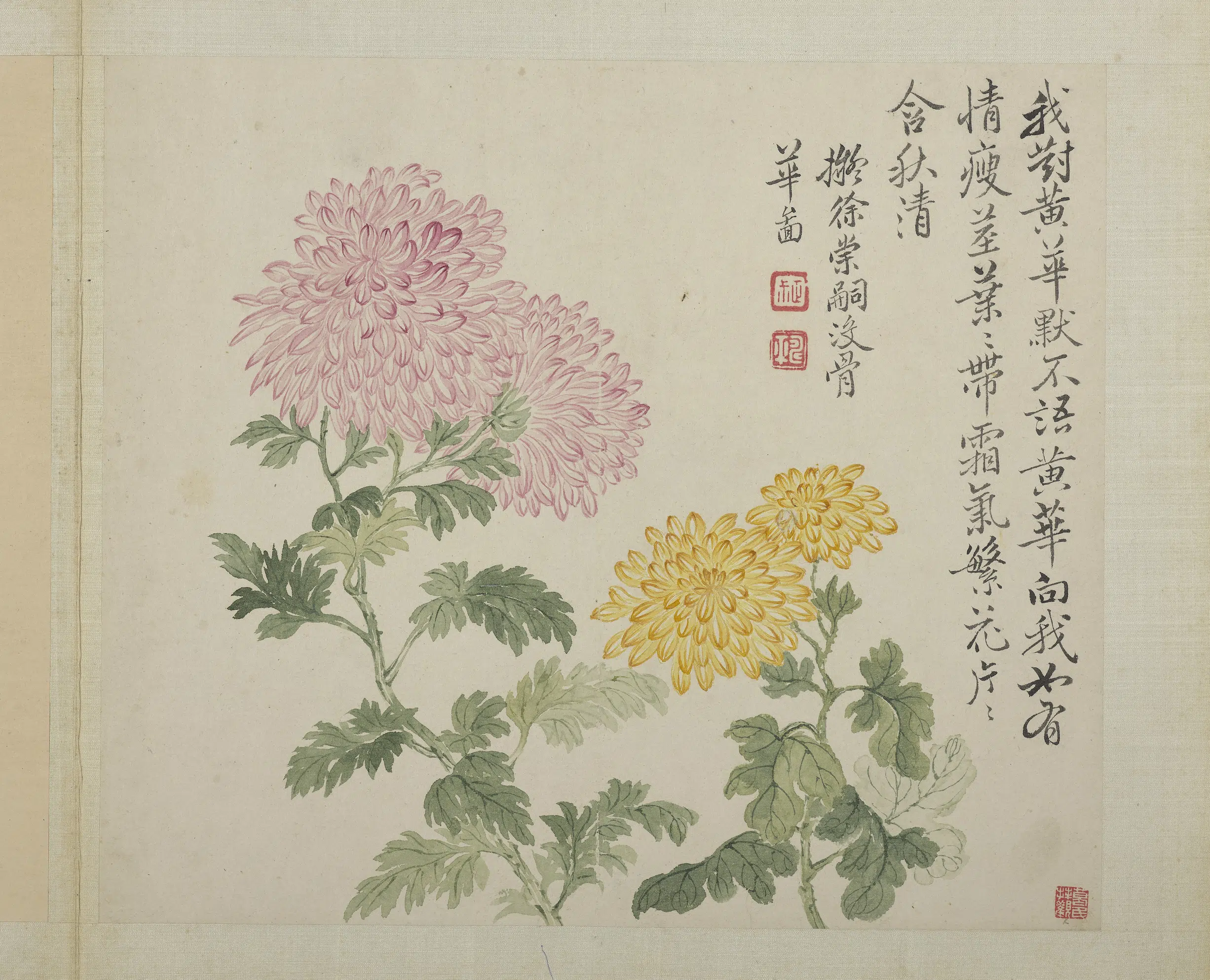 清代【恽寿平】《画花卉册-拟徐崇嗣没骨华》
