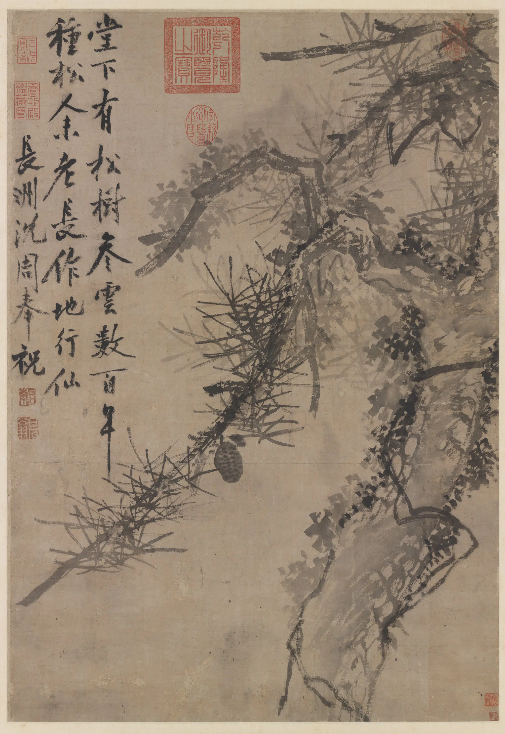 明朝【沈周】《古松图轴》