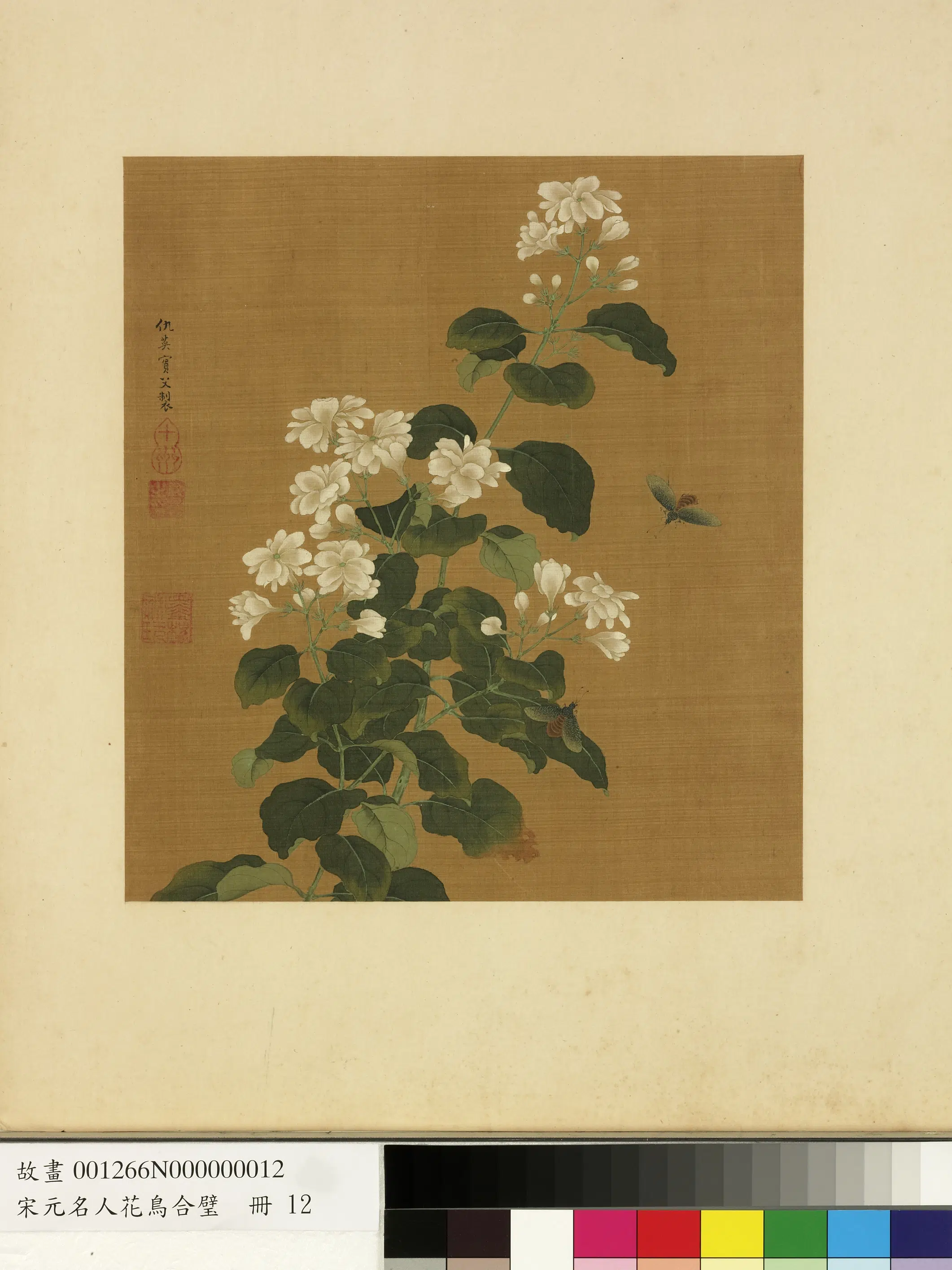 明朝【仇英】《花卉草虫-宋元名人花鸟合璧册》